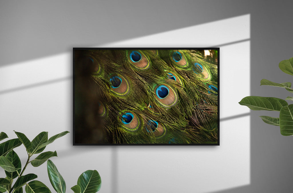 69ae51a4-c3e2-4458-a60f-491b88c6f84c