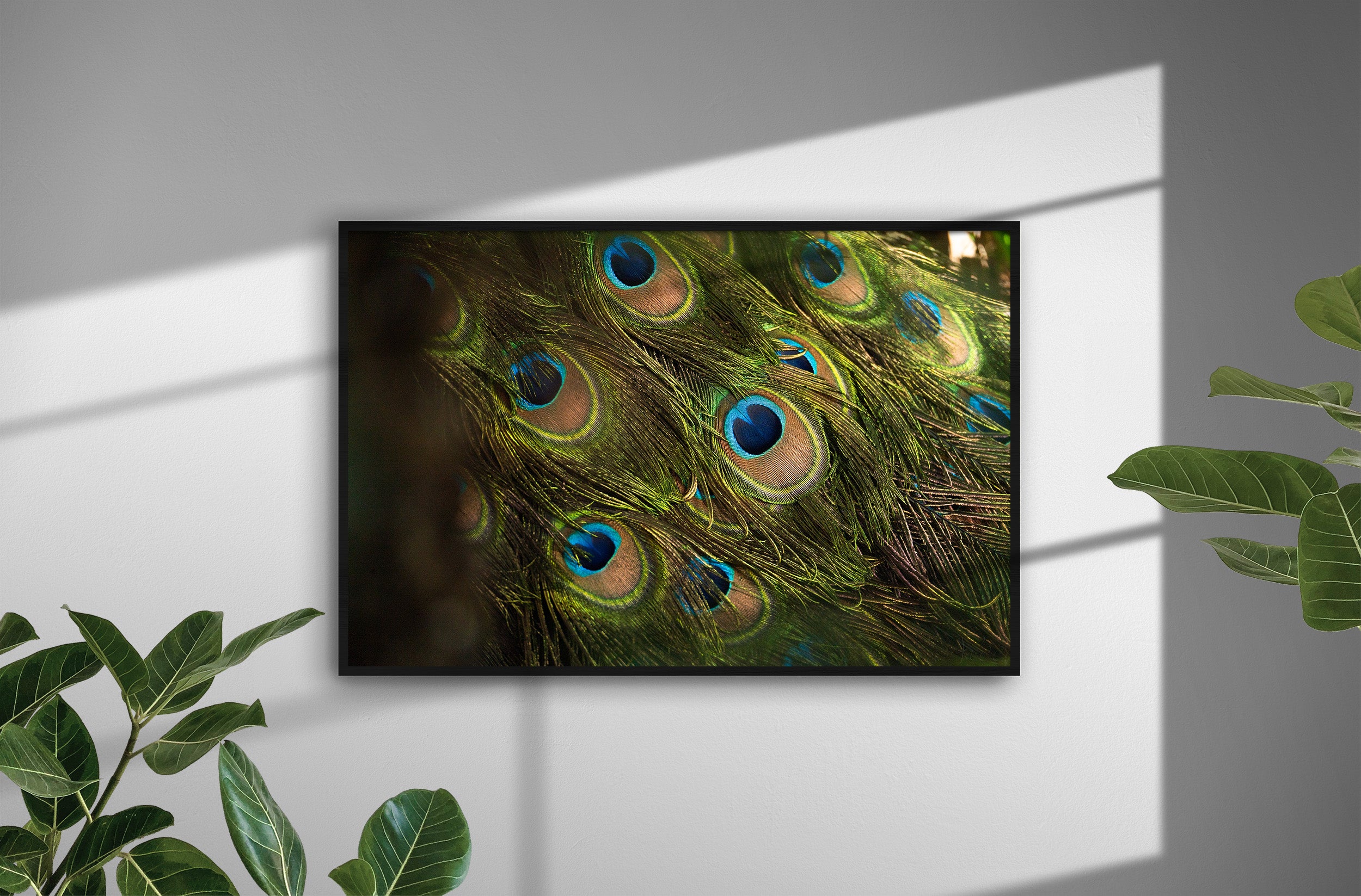 69ae51a4-c3e2-4458-a60f-491b88c6f84c