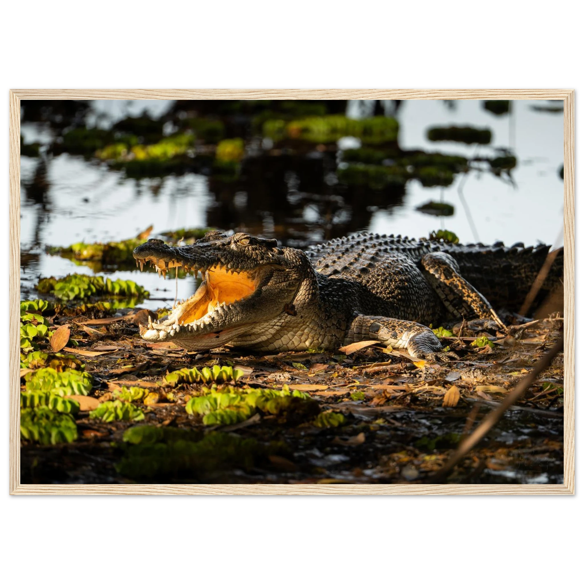 6b28518f-44f7-48ae-b3ae-5c26474805c4