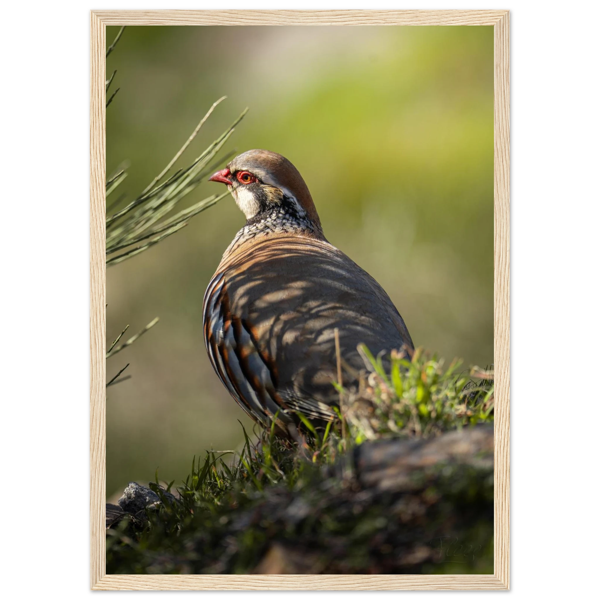 6b454c03-003a-46b5-9006-2aed3fda34a9