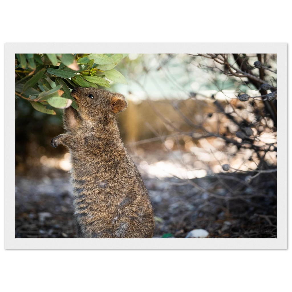 6ba226f8-c9a0-48a0-b71e-c811a46ec046