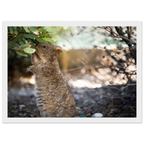 6ba226f8-c9a0-48a0-b71e-c811a46ec046