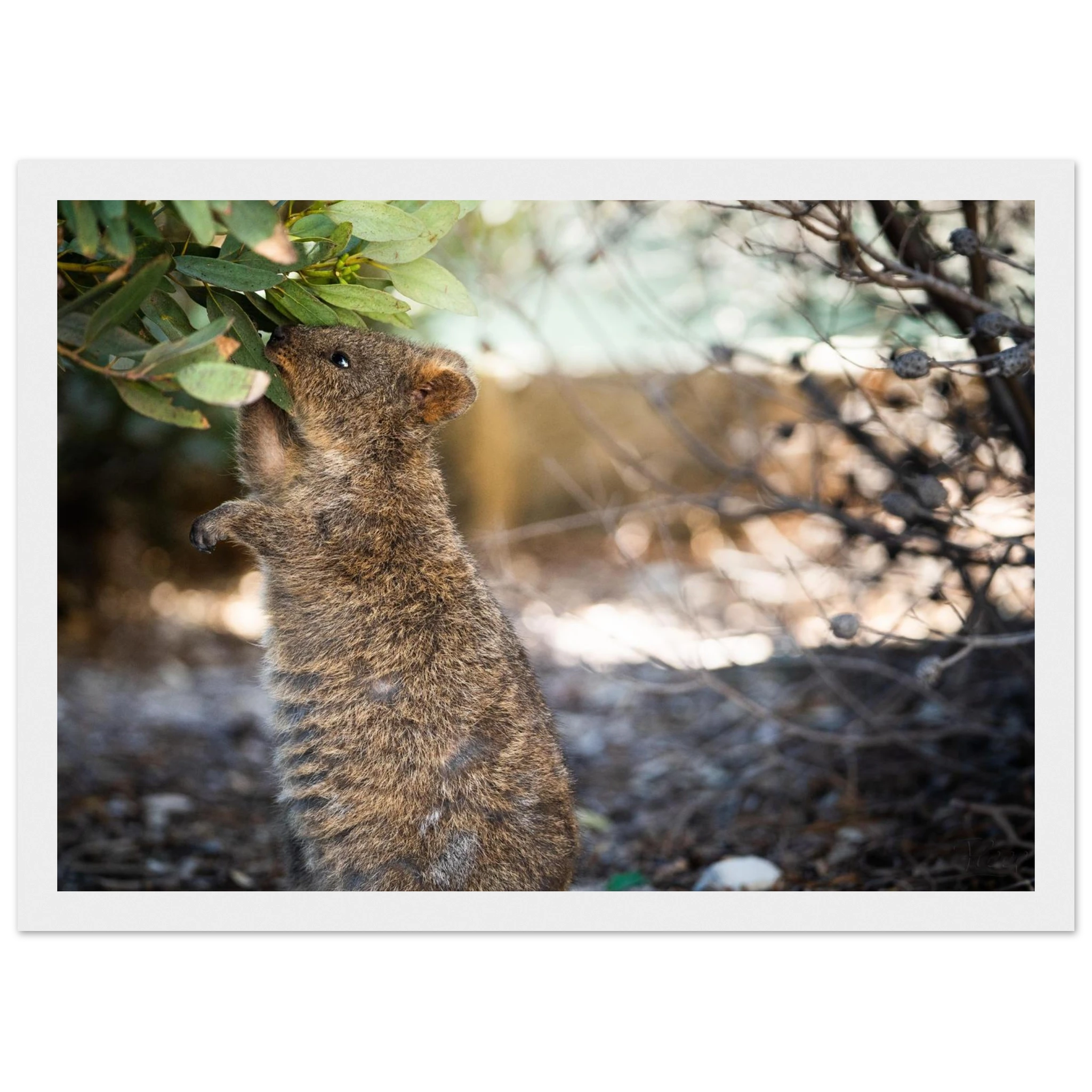 6ba226f8-c9a0-48a0-b71e-c811a46ec046