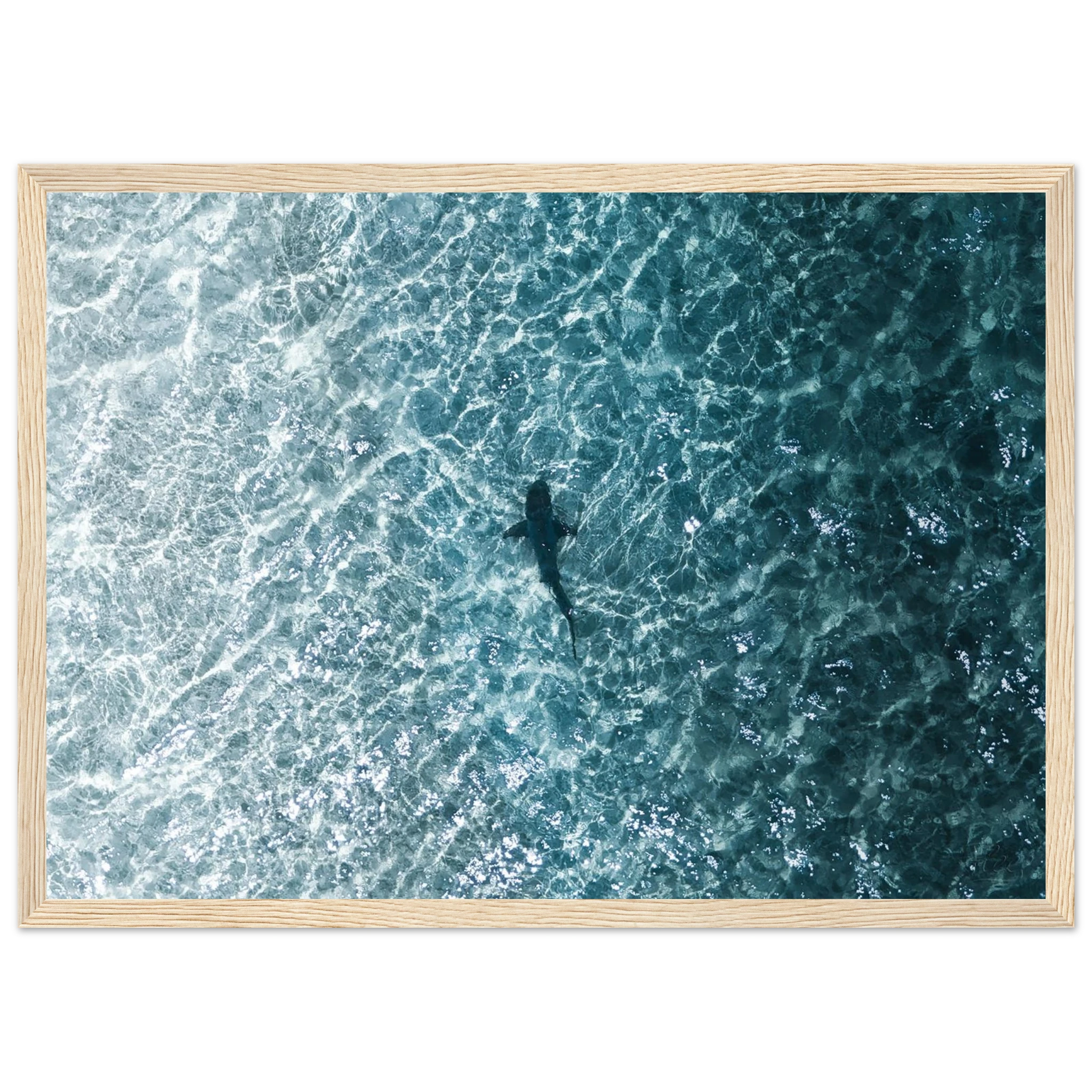 6ba6fcb1-5082-4ee1-93f8-f0dc584ff0d9