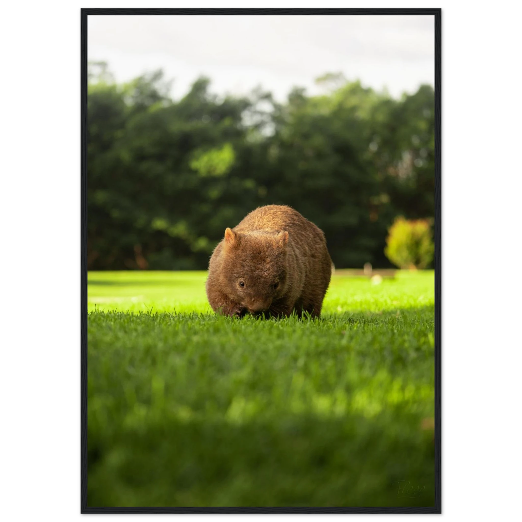 6bc895e7-569b-4656-a75d-a324ee2a8a73