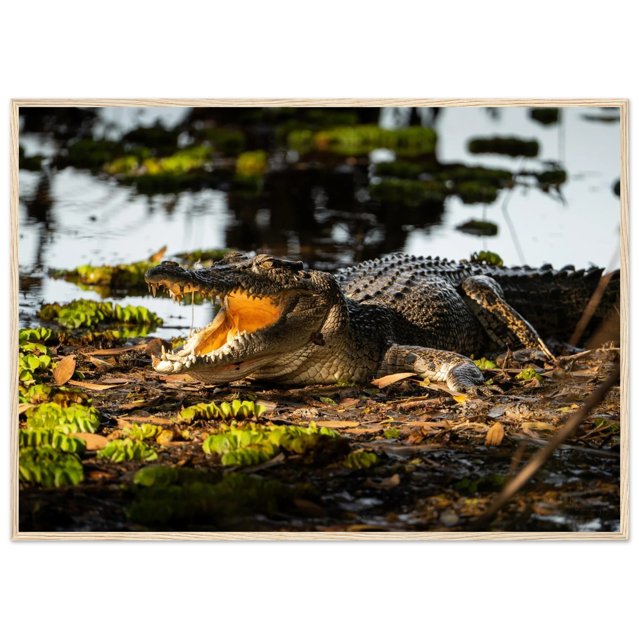 6d121ccd-be1b-46de-a047-463e4b891d4c