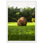 6dcaa182-90fe-4a5f-9956-60bafe1500ca