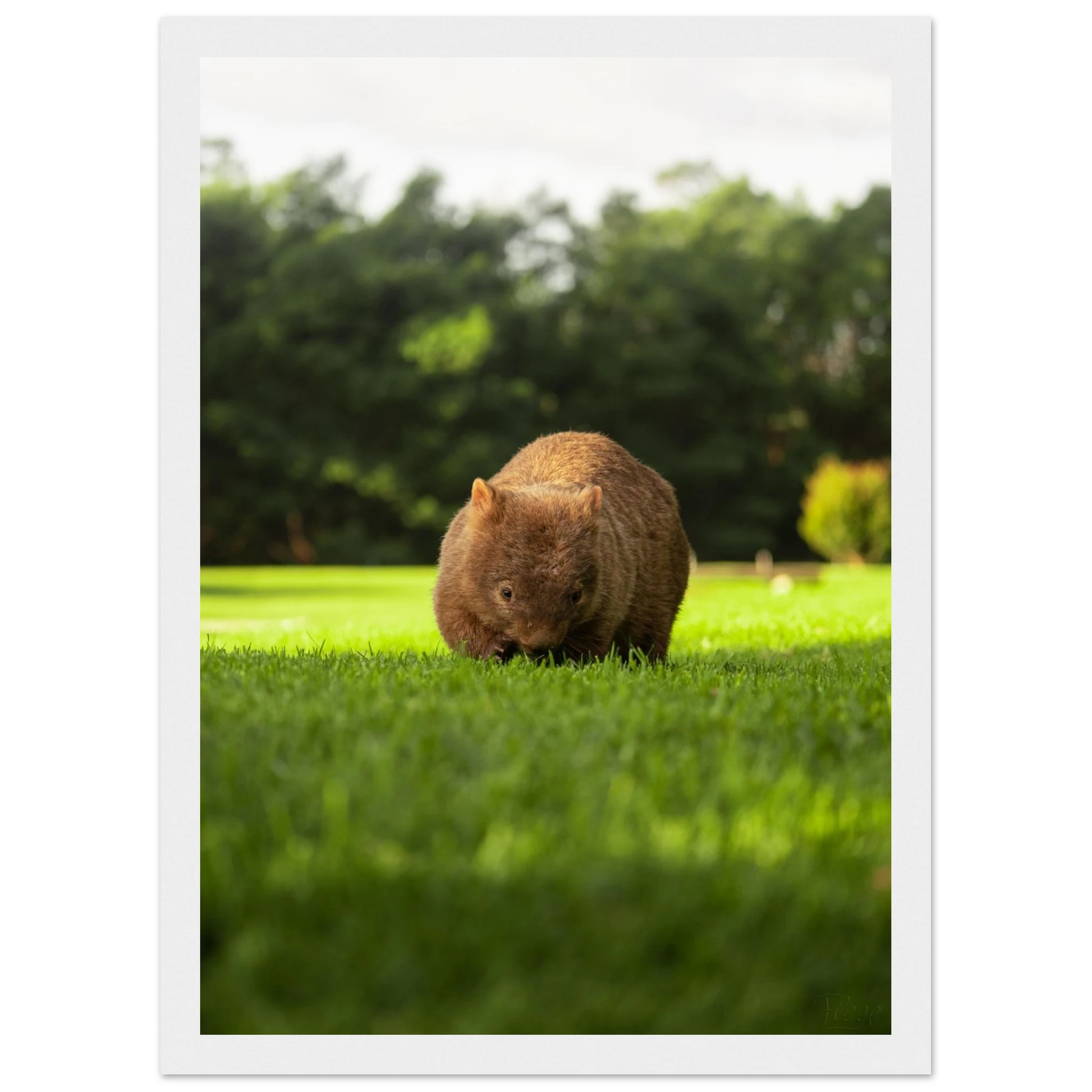 6dcaa182-90fe-4a5f-9956-60bafe1500ca