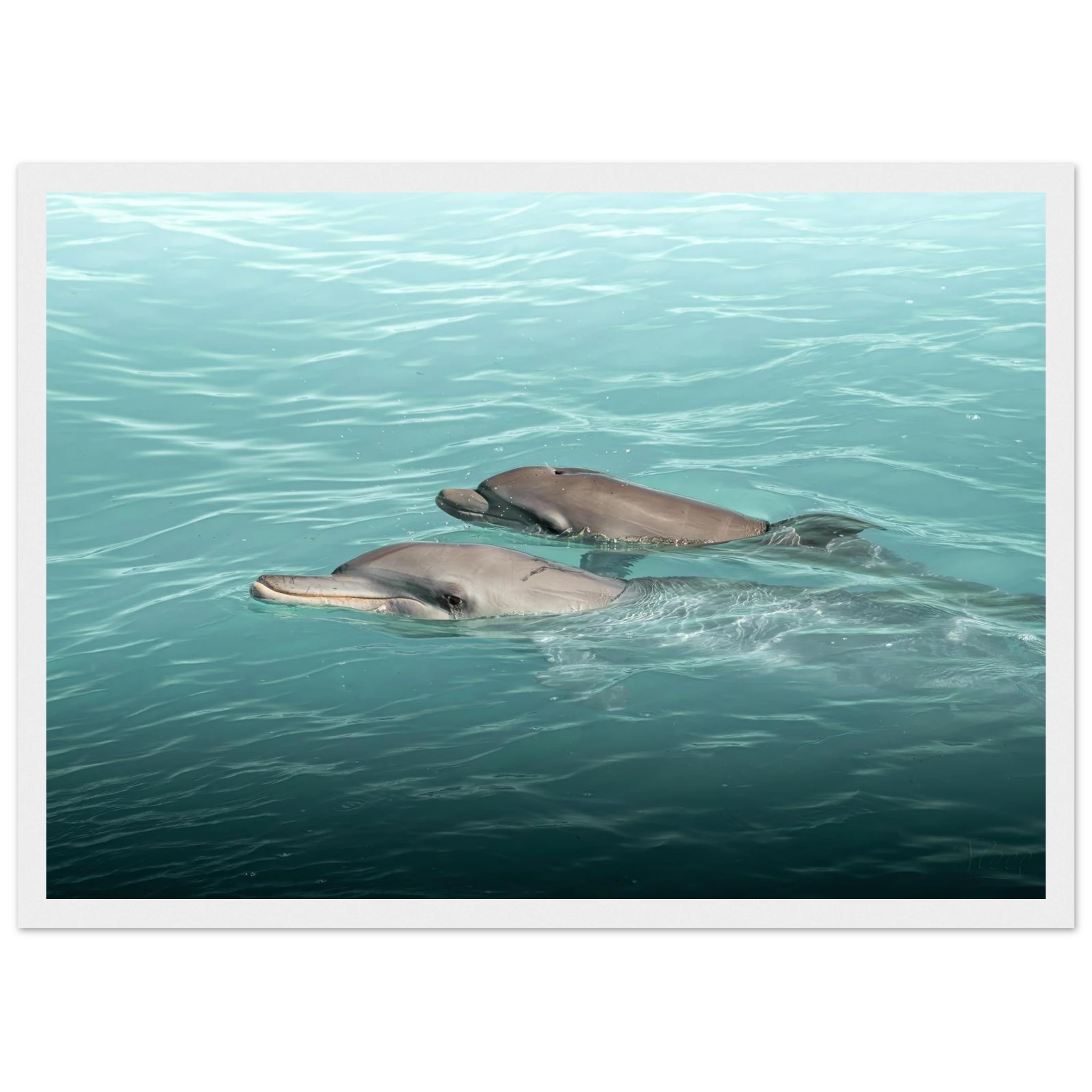 6dfaf9bb-a12b-42aa-af15-68179fbcea61