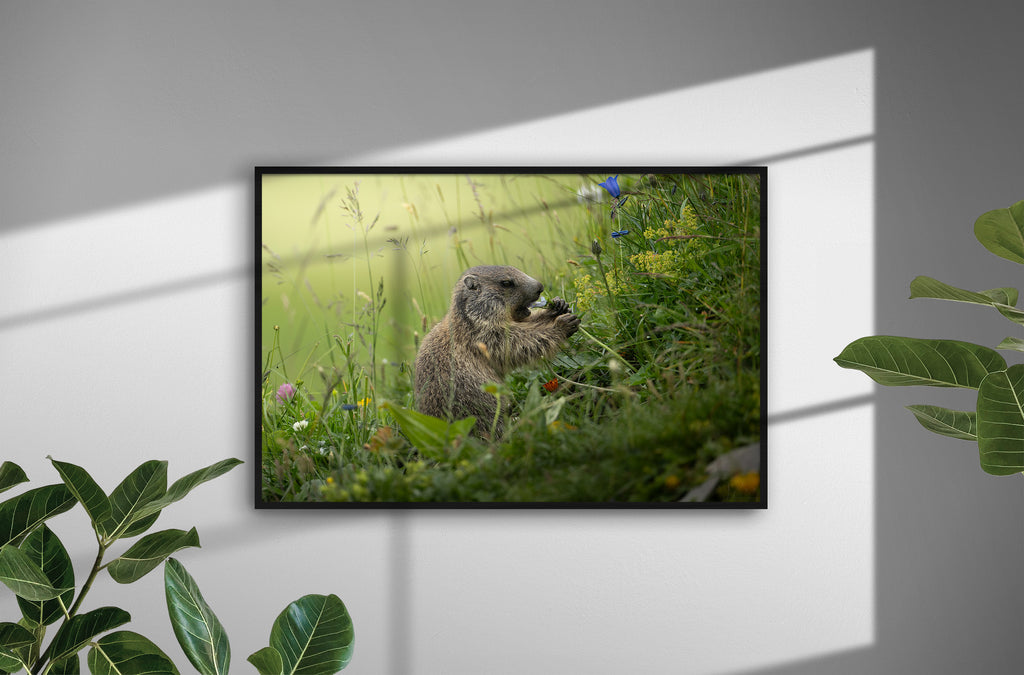 6e164534-aac4-4668-87dc-e4e1fe126b22