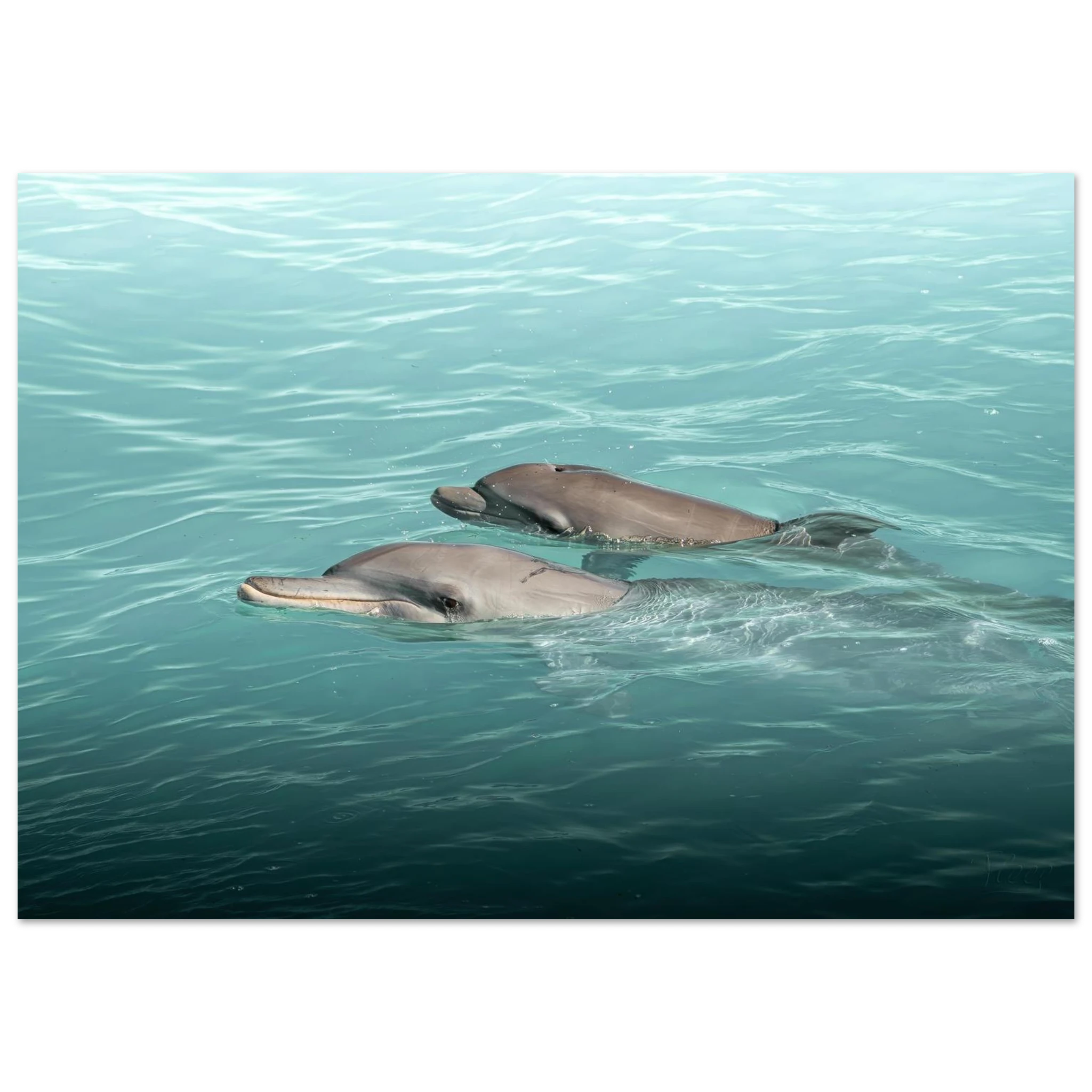 6f120159-f950-4fc8-a0e7-b9aec8ffac30