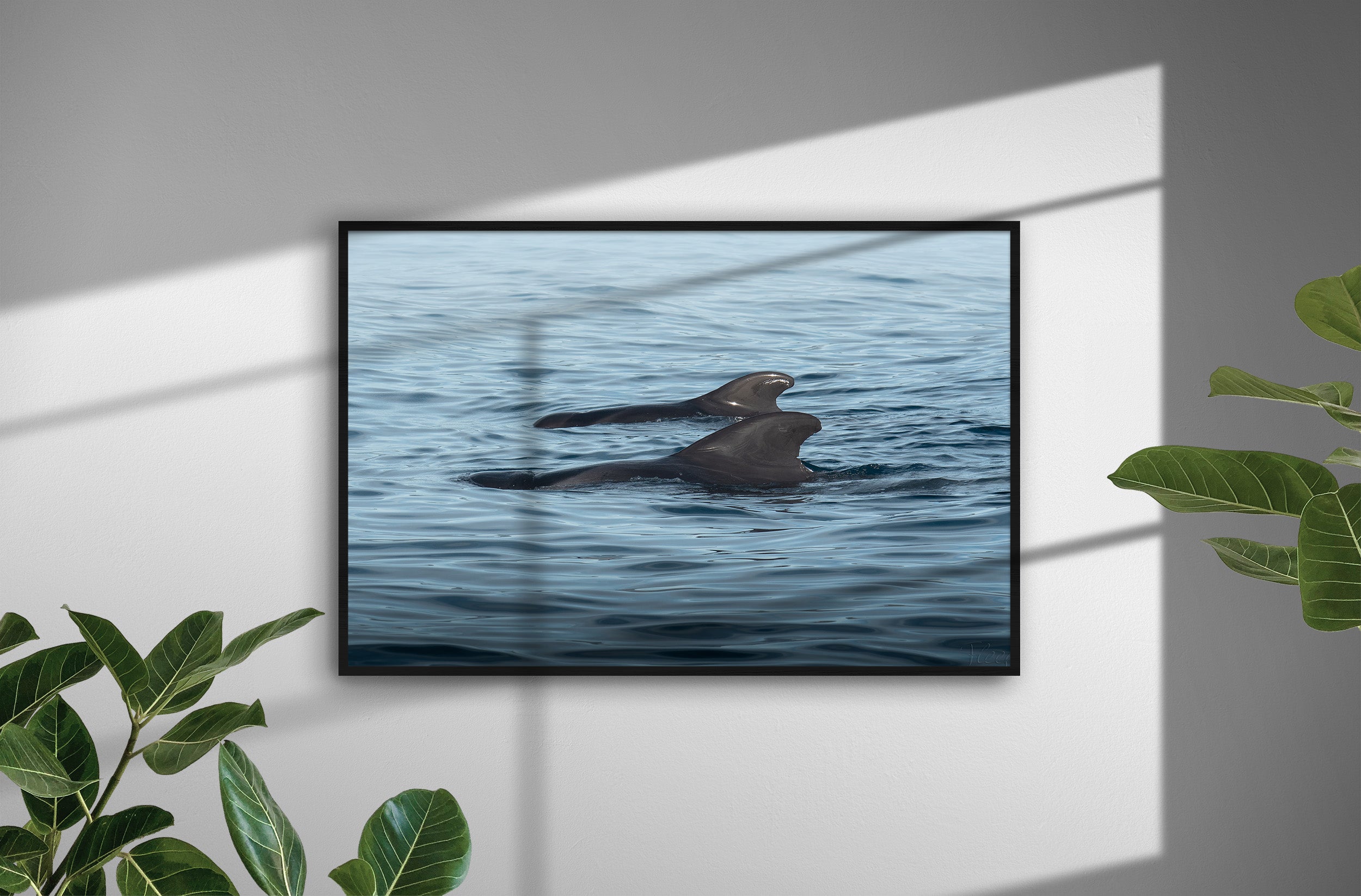 6f1a44c1-8138-4c93-86e1-809c07356296