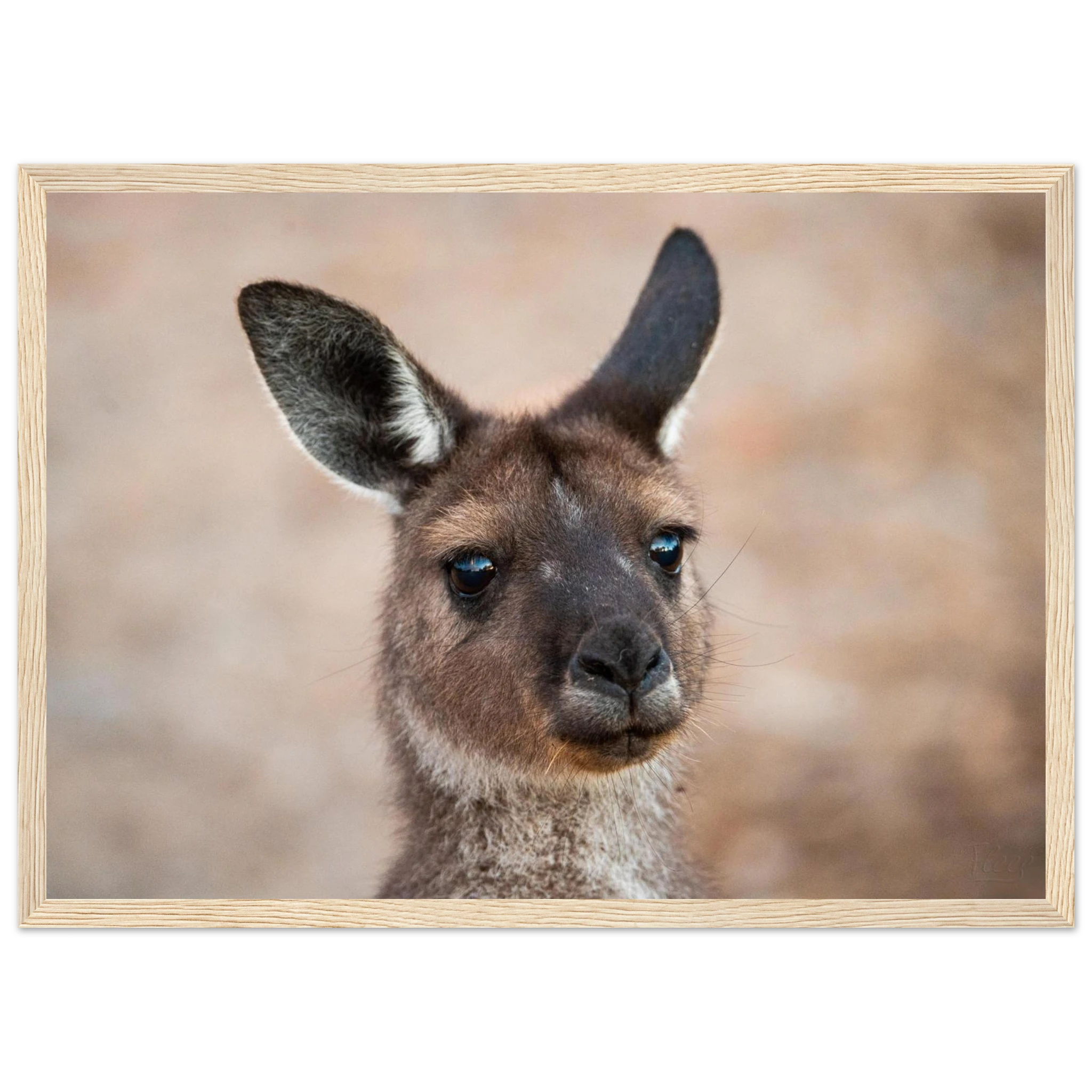 6f60bad4-7e91-4567-b206-082d7c165d3e