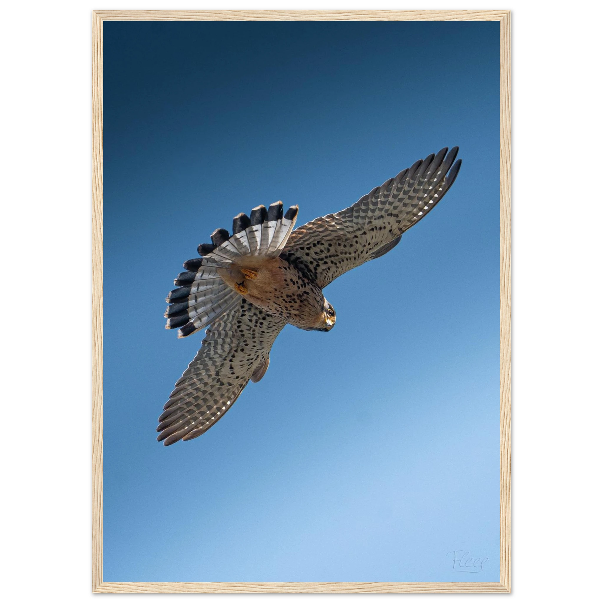 7001b6dc-c670-4047-a38d-4dc61d1c1aeb