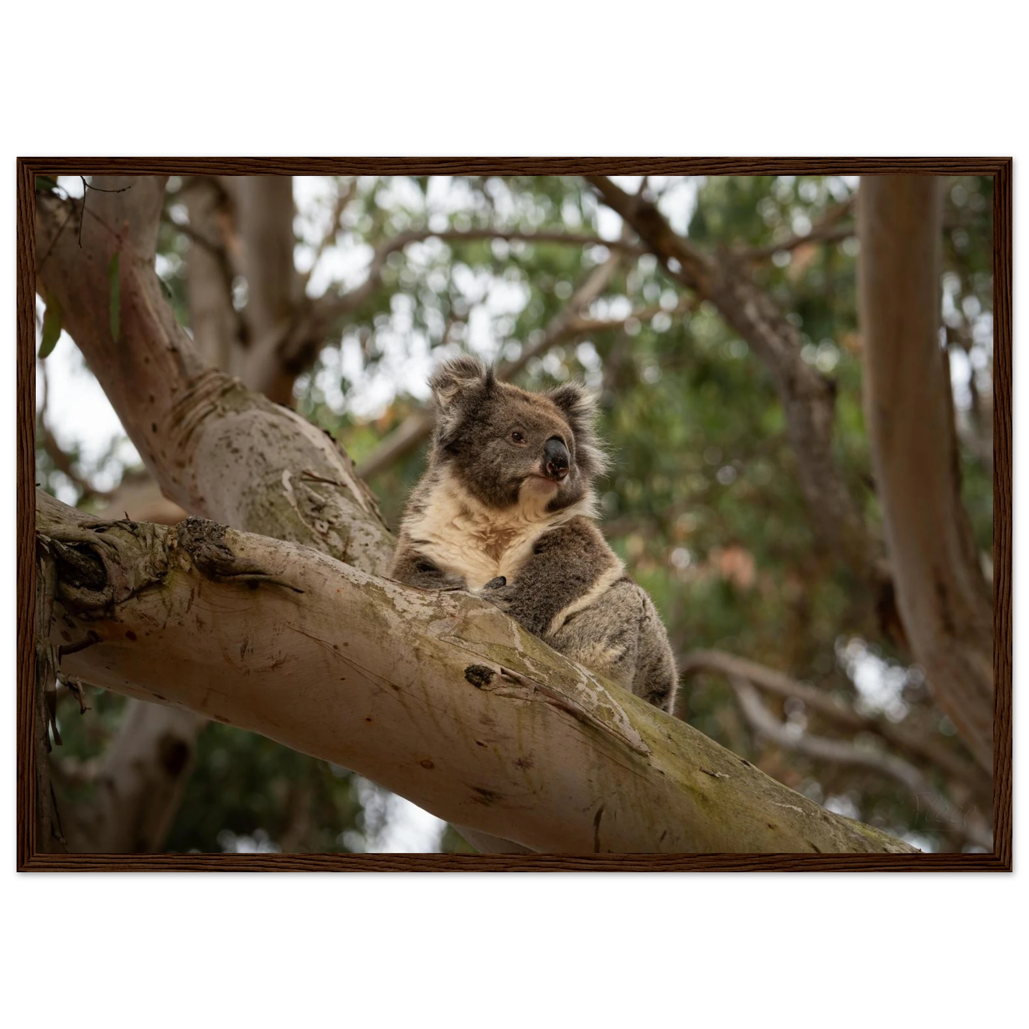 701f50be-3558-4580-a300-0b2d35eb911d