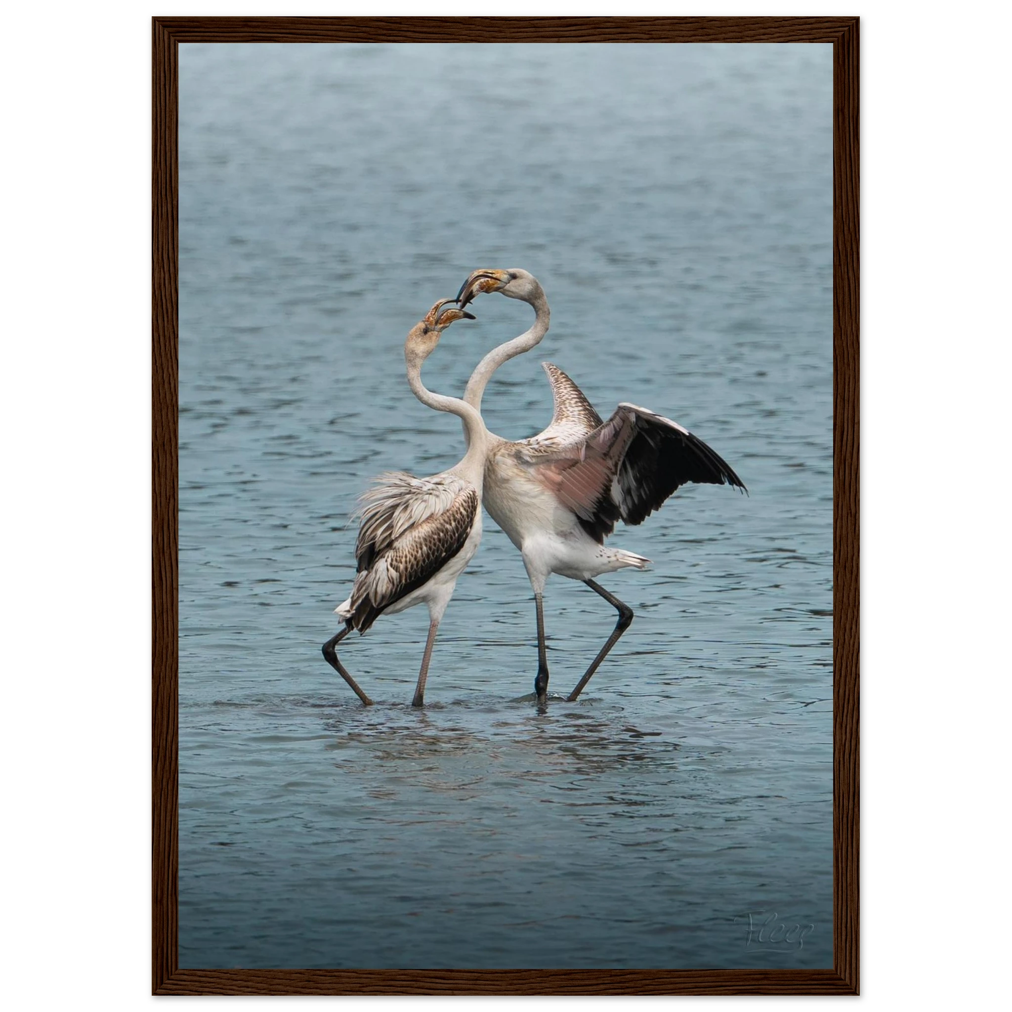 70346d58-b597-4503-ba8a-b61e55a1a09c