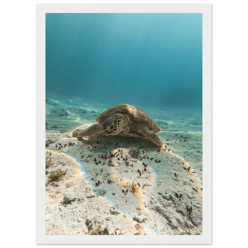 705266a3-0cbb-4148-a63d-b093086c622c