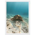 705266a3-0cbb-4148-a63d-b093086c622c