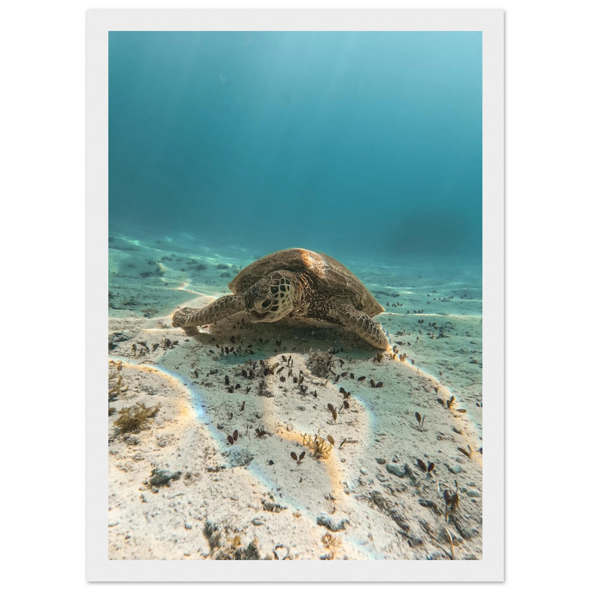 705266a3-0cbb-4148-a63d-b093086c622c