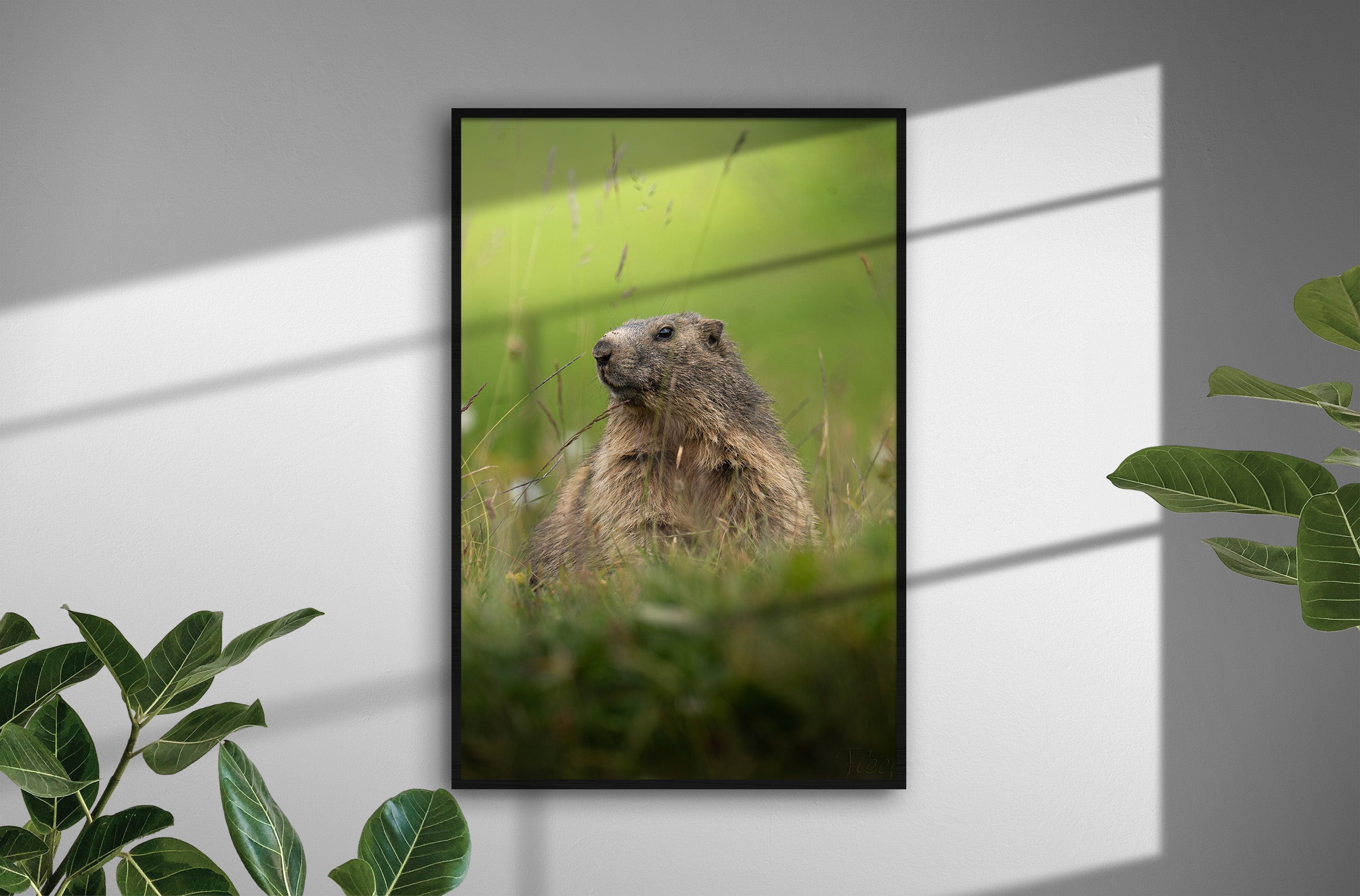 717f2b88-931e-4d9a-bfbe-ff7f5a4de3fd