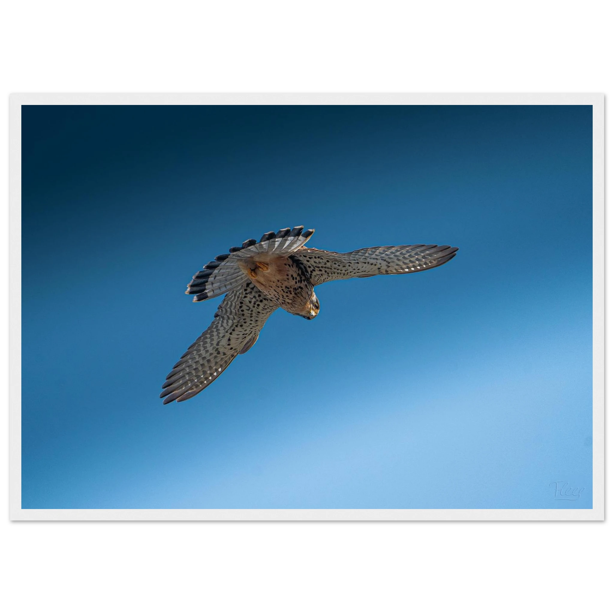 72cf4f70-5e8e-41ab-9a76-2d9726aee014