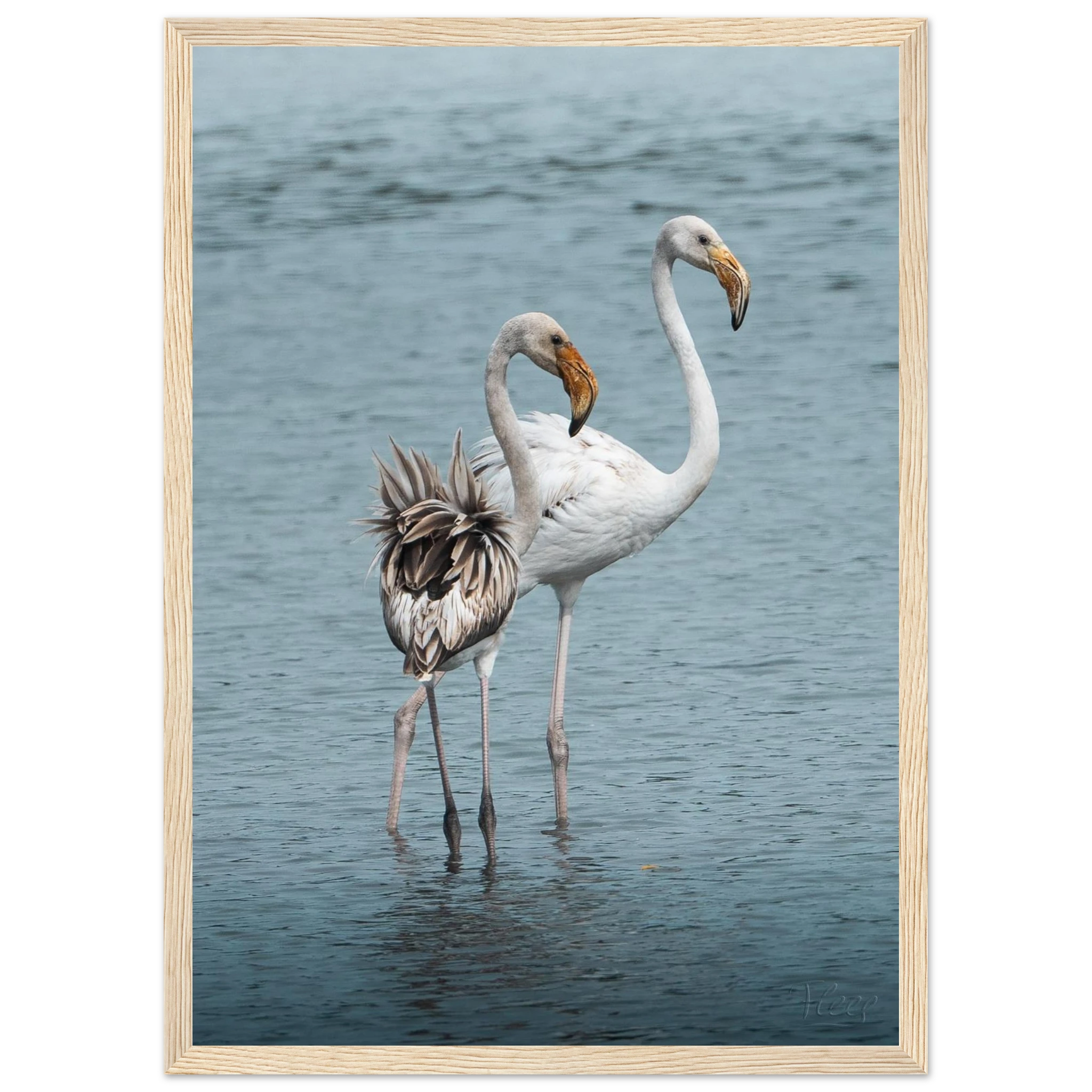 73a3a9c9-5ce5-4f87-a849-e7b060fe35f3