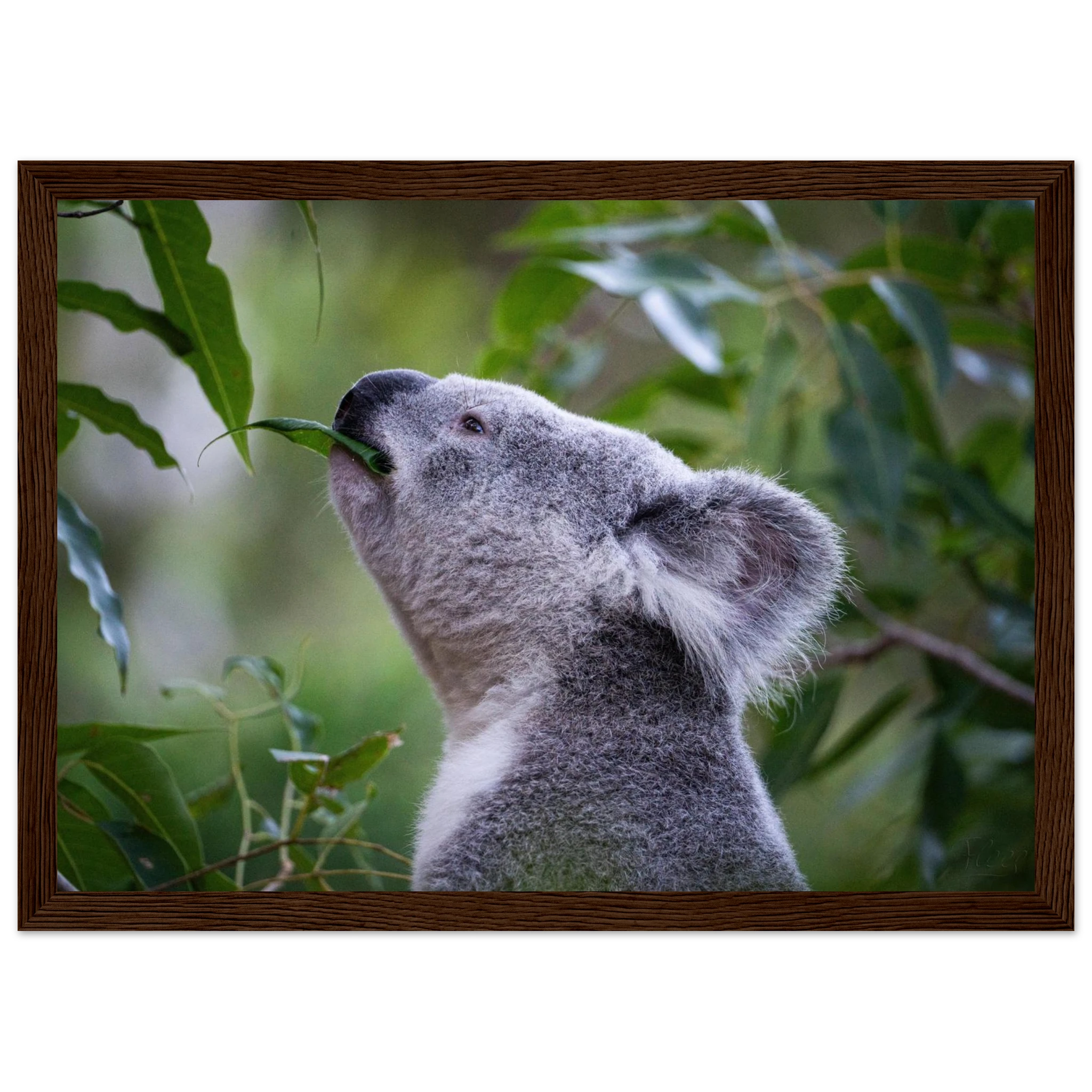 73cfb548-438f-4771-bcc5-5b9f24486bc5