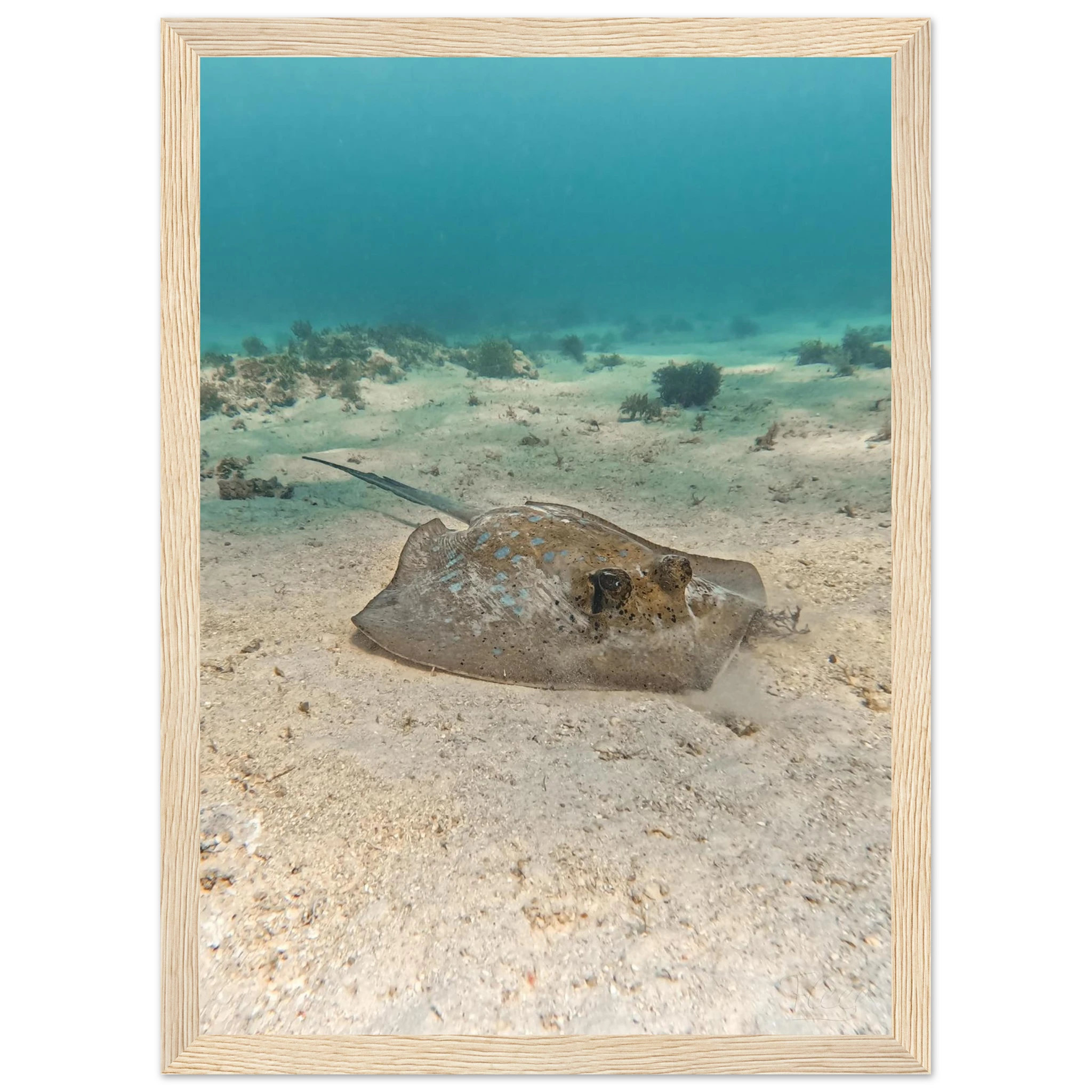 73ec4e52-c924-475d-8c12-97dfc153e9f3