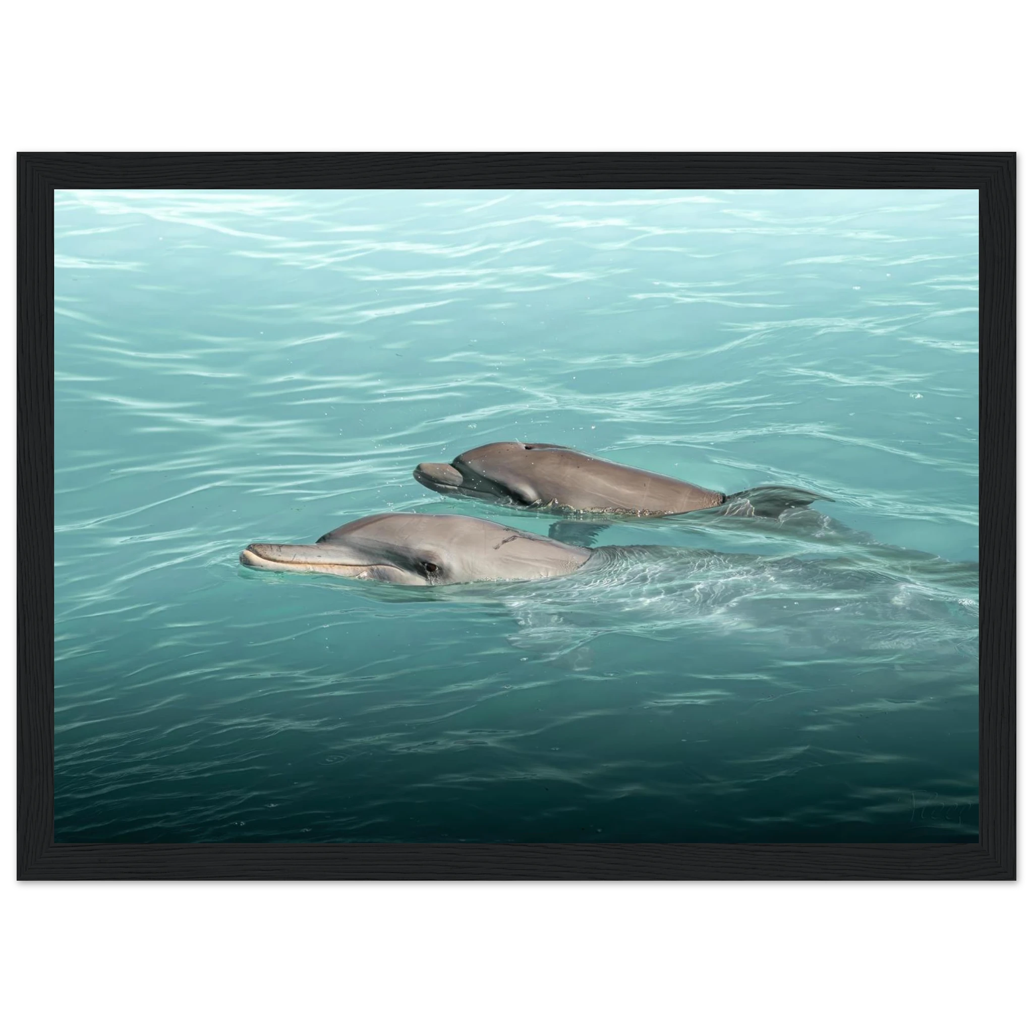 740cc0e3-2625-4090-8567-bf59261ae726