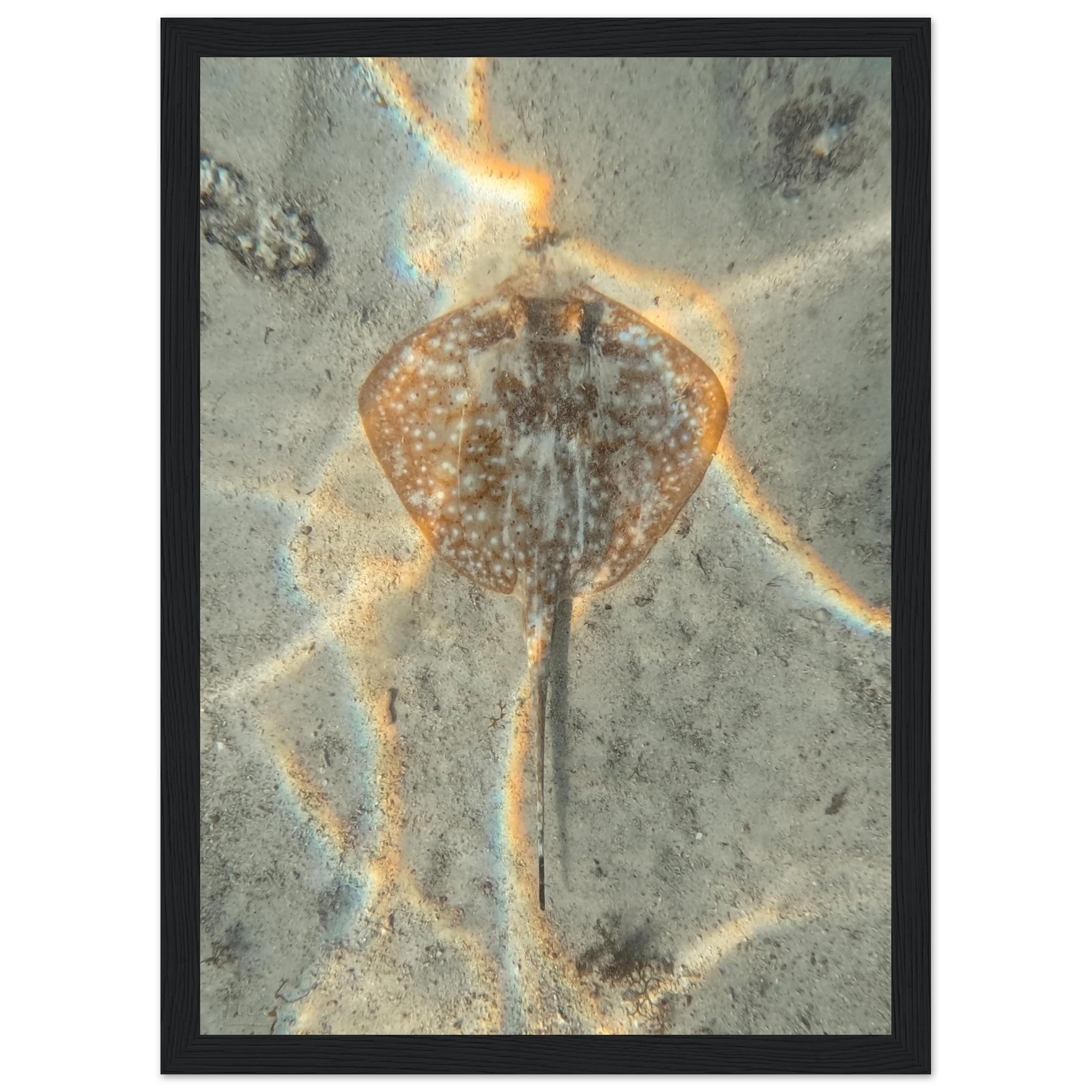 74204133-eccb-412b-90ae-ca0cbb27fe0d