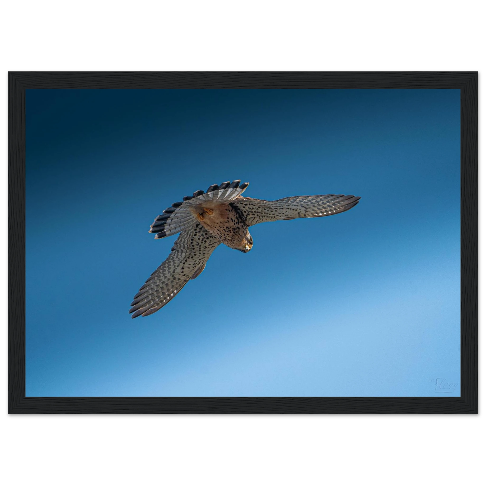 749bf38b-9409-43bc-8212-b91bb5e29b71