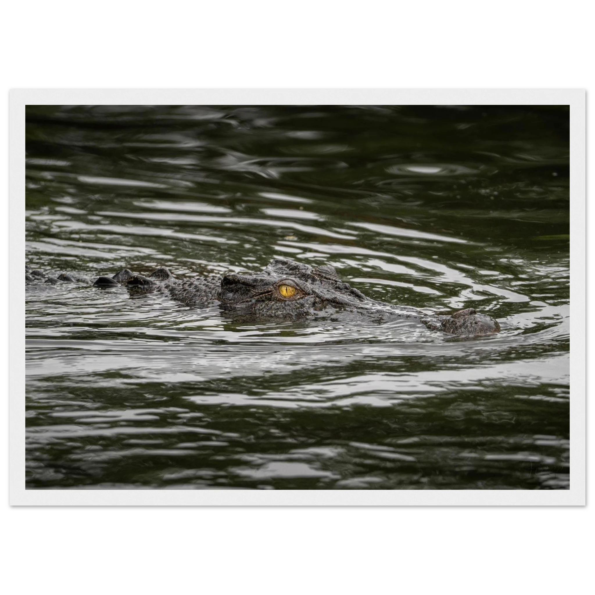 74bbd751-f803-4700-b9d4-e88fee4a4c40