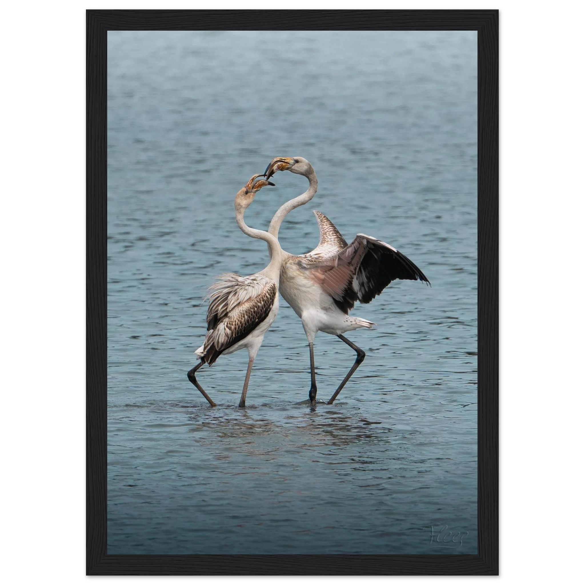 750fb1b4-3bec-4273-a171-6a170e55671a