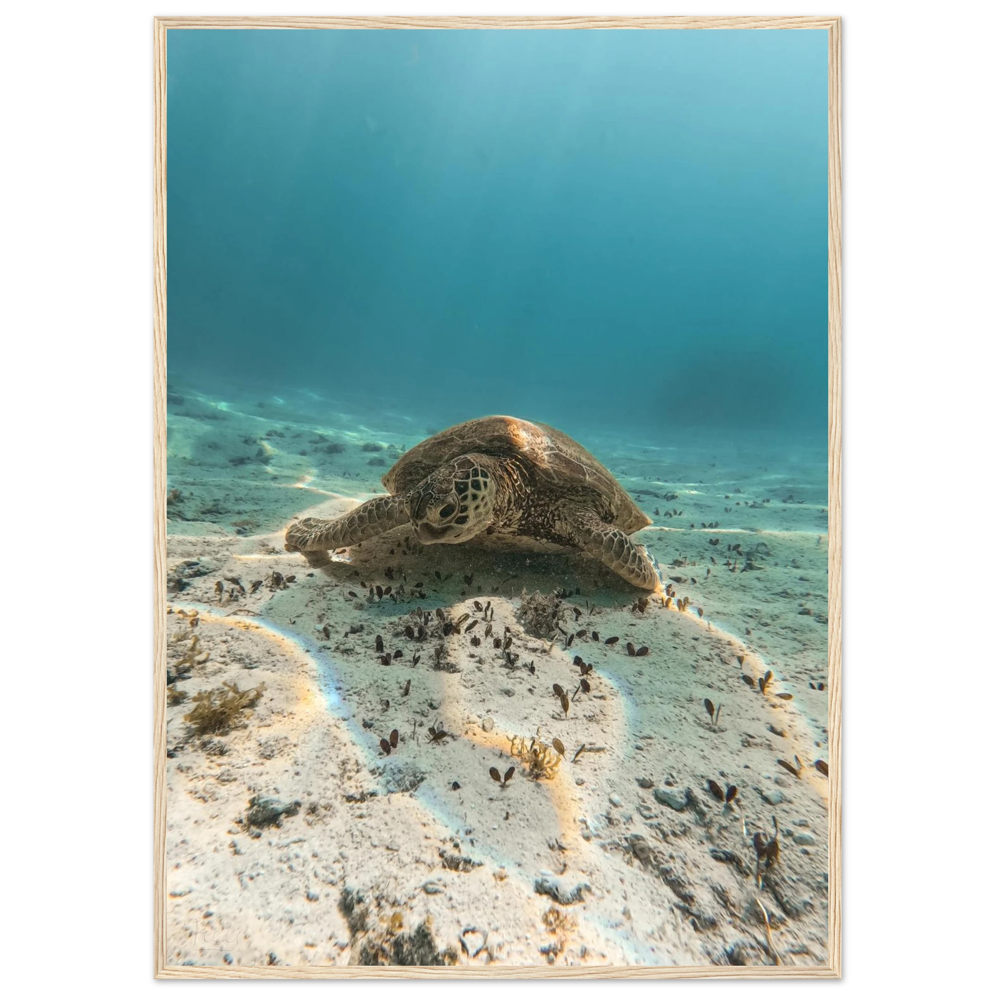 7606a998-a19f-4592-b285-f44f05bdd82e