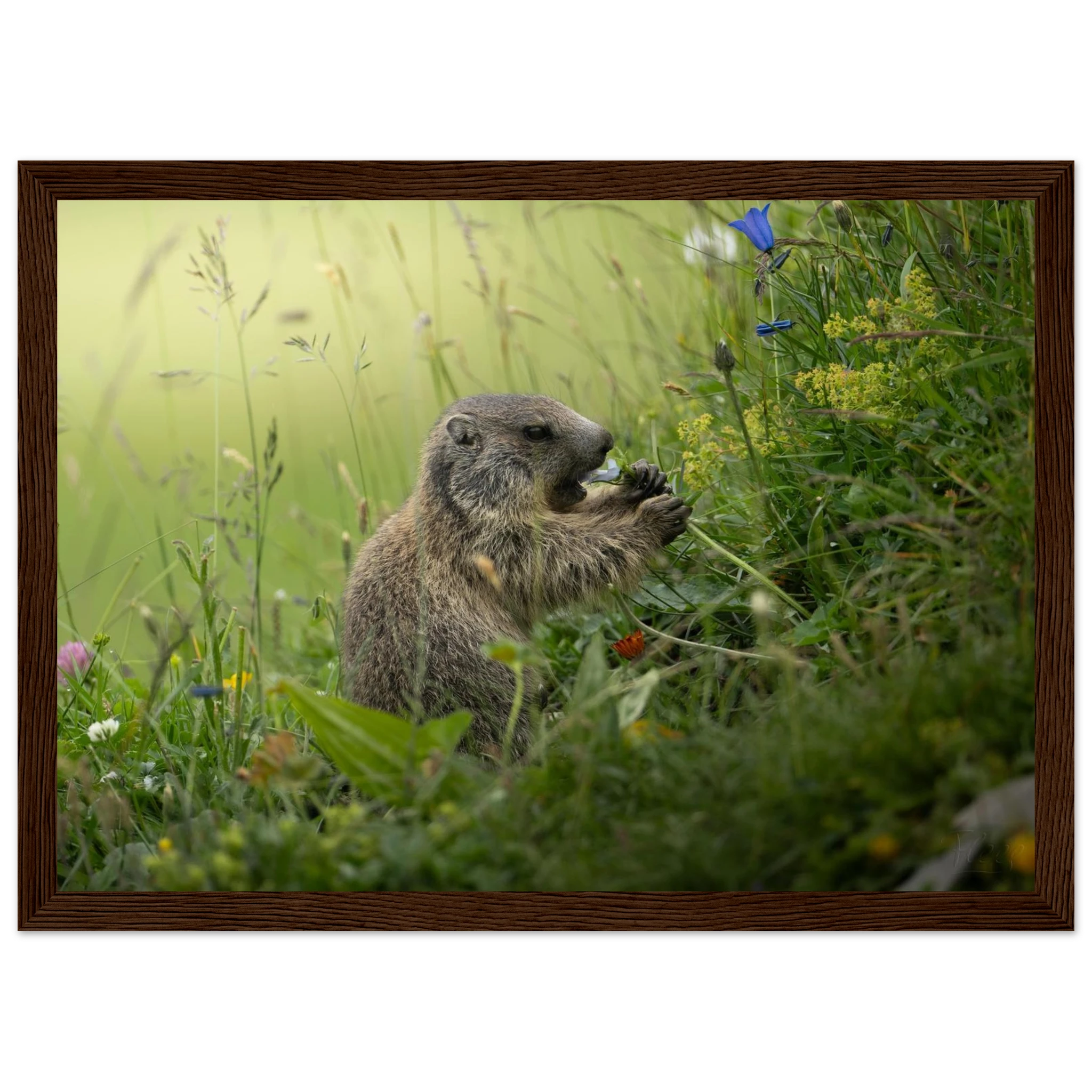 7632bdea-6662-45db-a985-d19e77bec65e