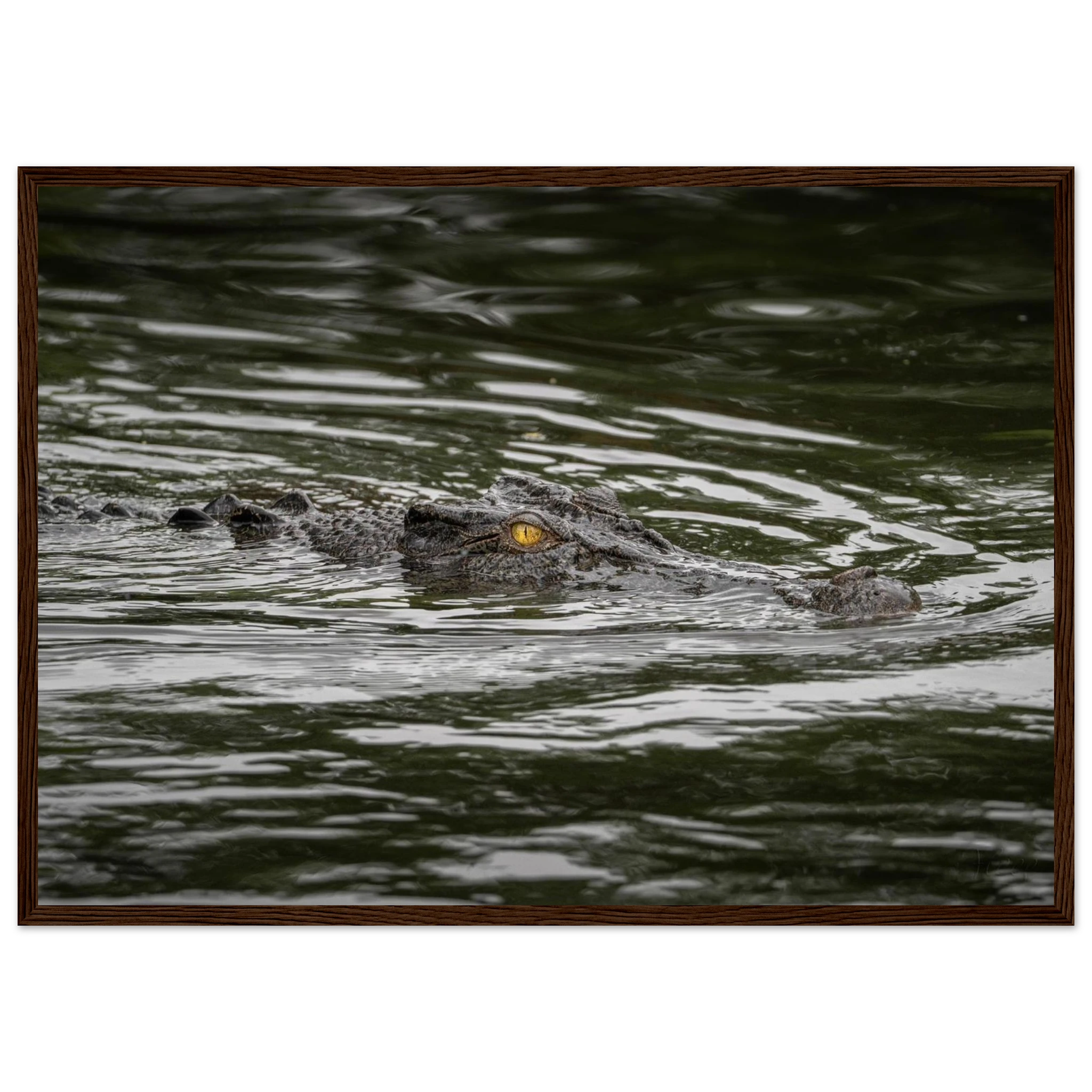 763c7529-ead3-41c9-86ec-1ab5f6313a36