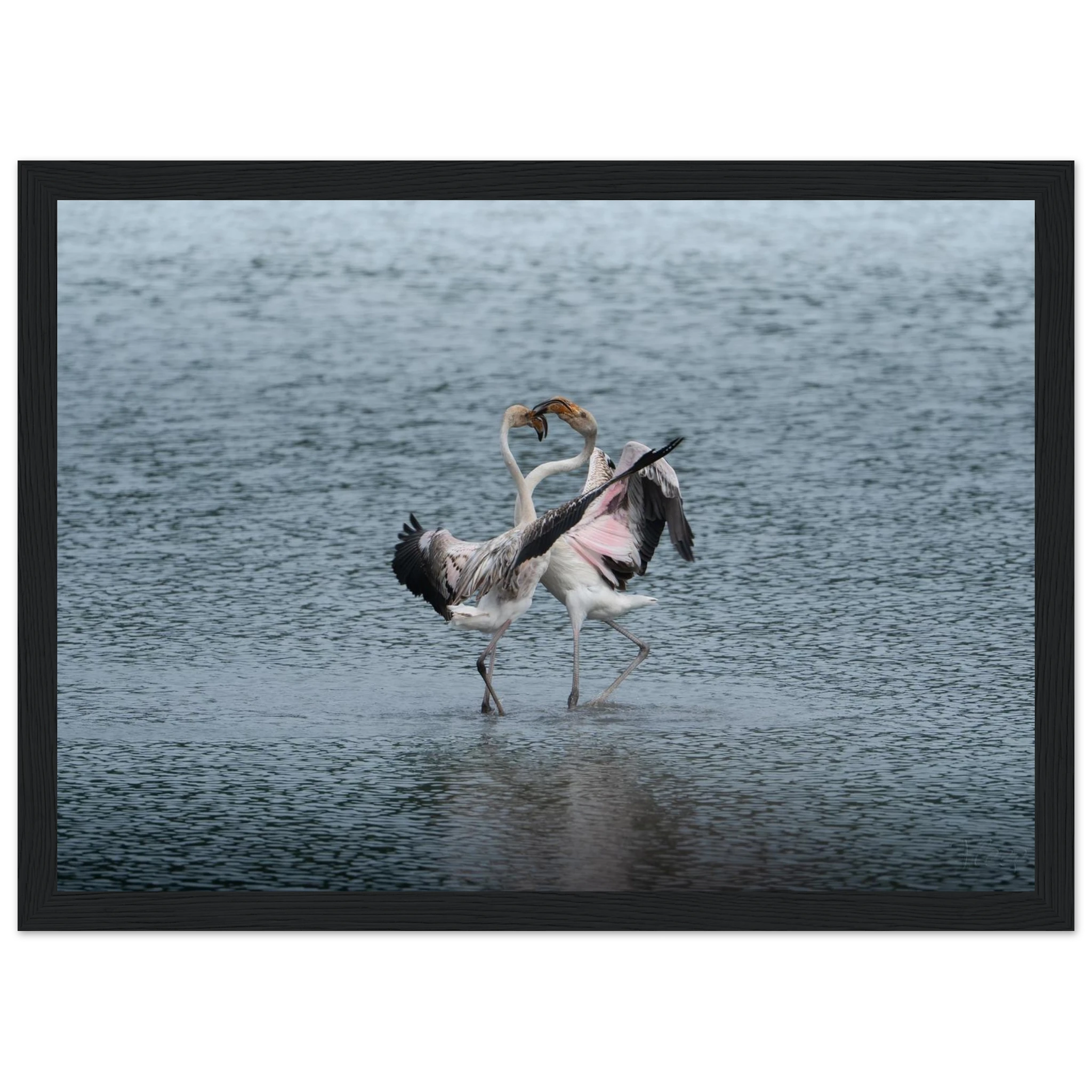 763c79ca-5d23-494c-8a86-c60c9559bae1