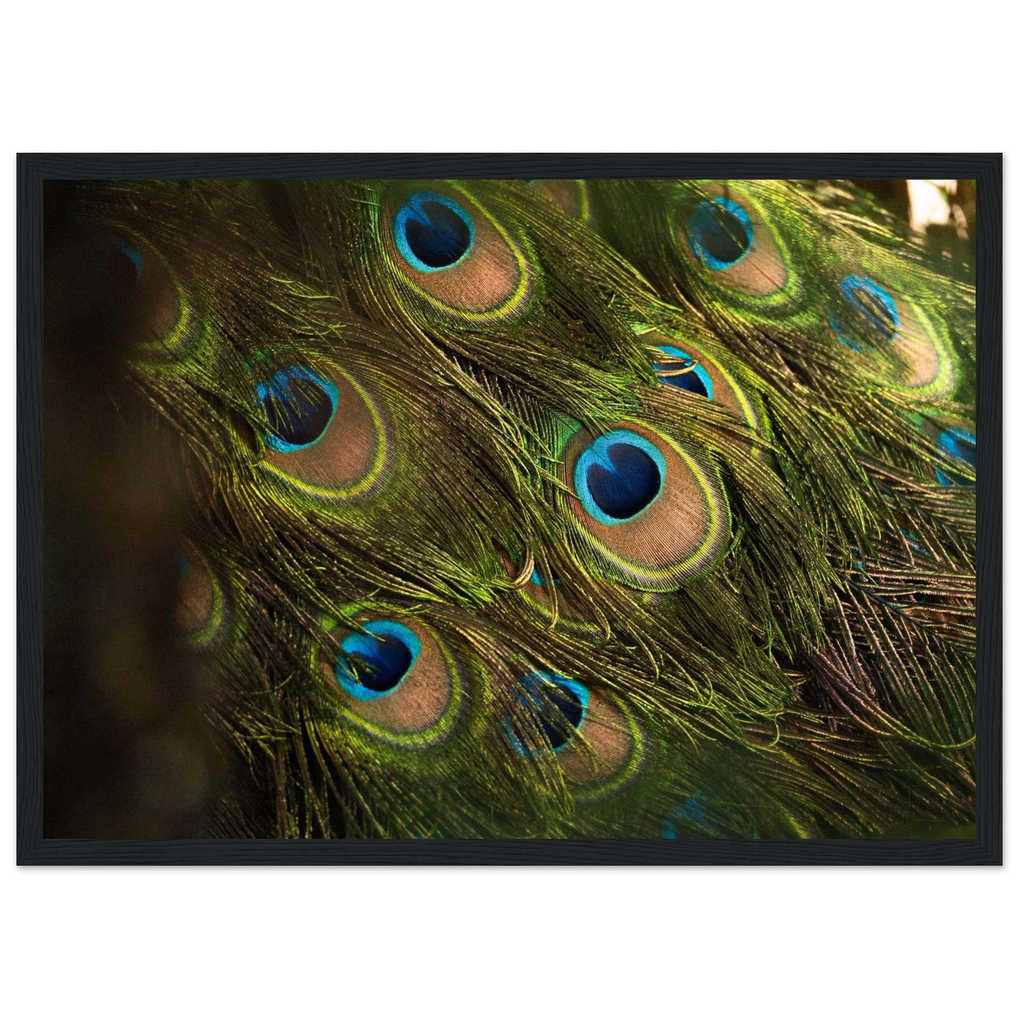 764d730e-bac8-426e-aa89-d143056ef117