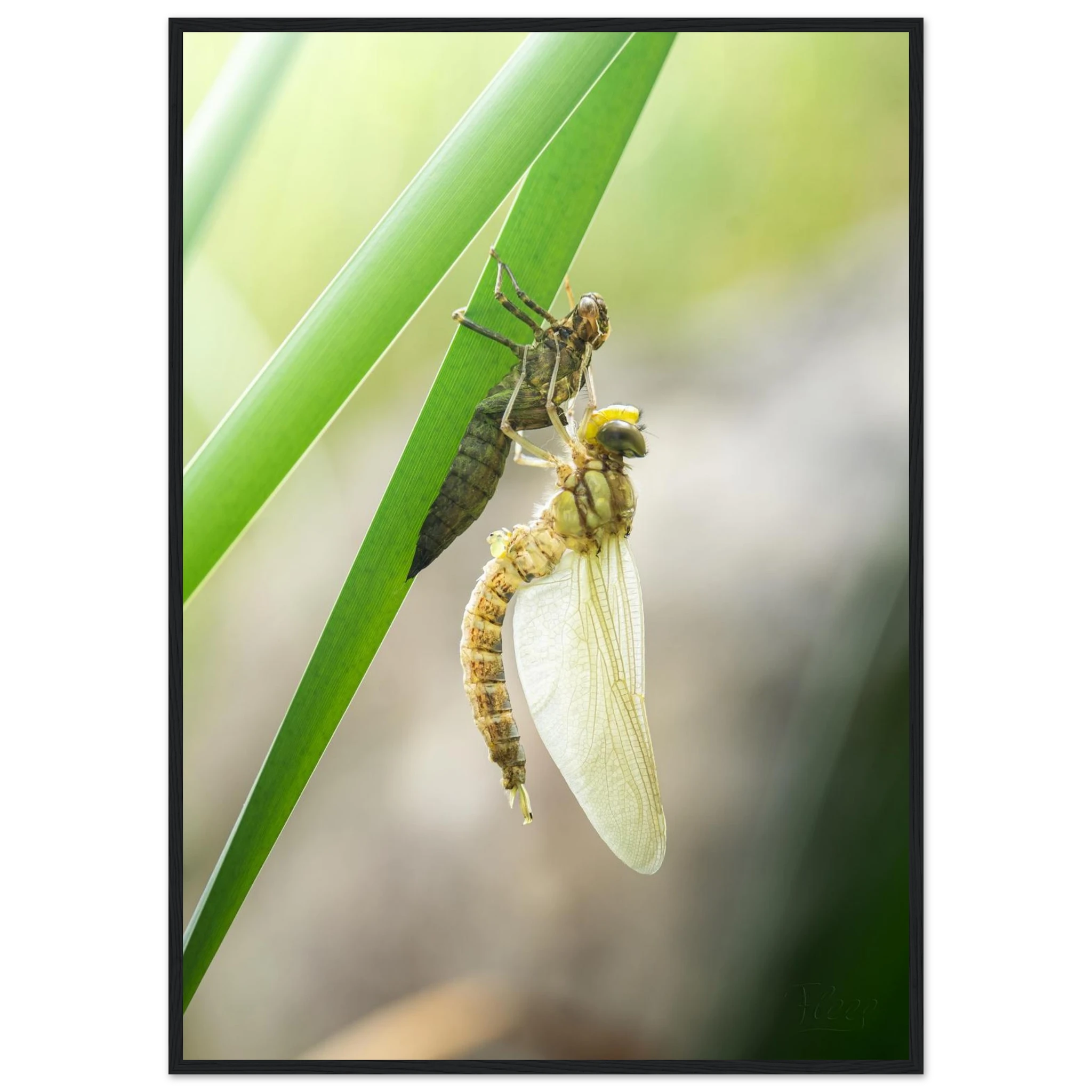 769a24c3-56ec-49a1-b61a-945bc8e43ca4