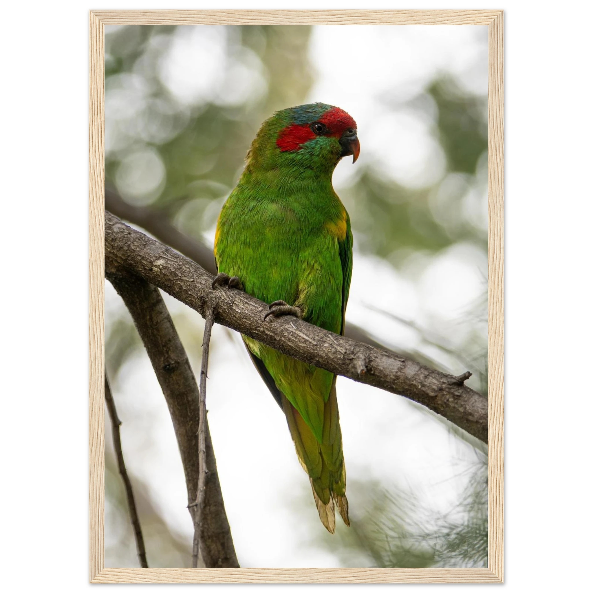 76dd67d5-9cae-4e16-bc40-16e549ee1184