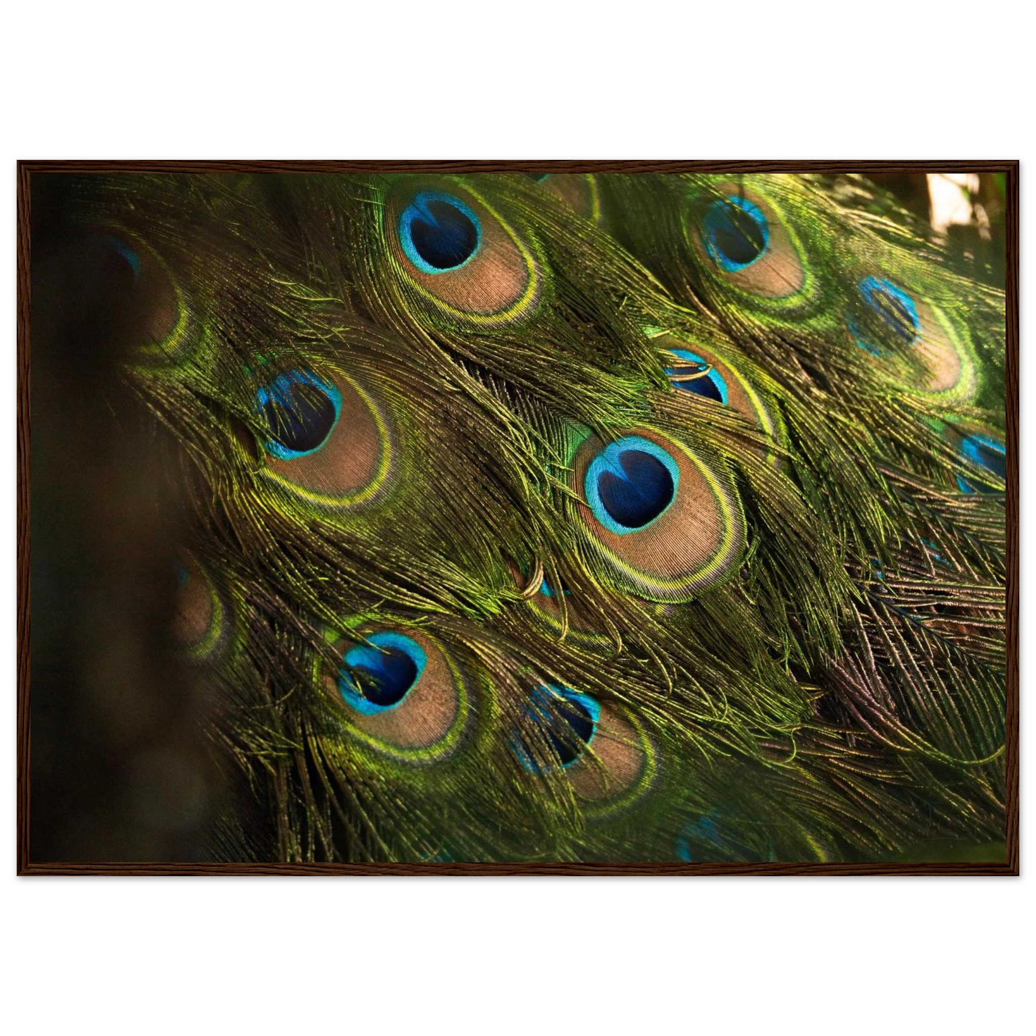 7756fe28-ed34-4e47-b762-1f8a1b188829