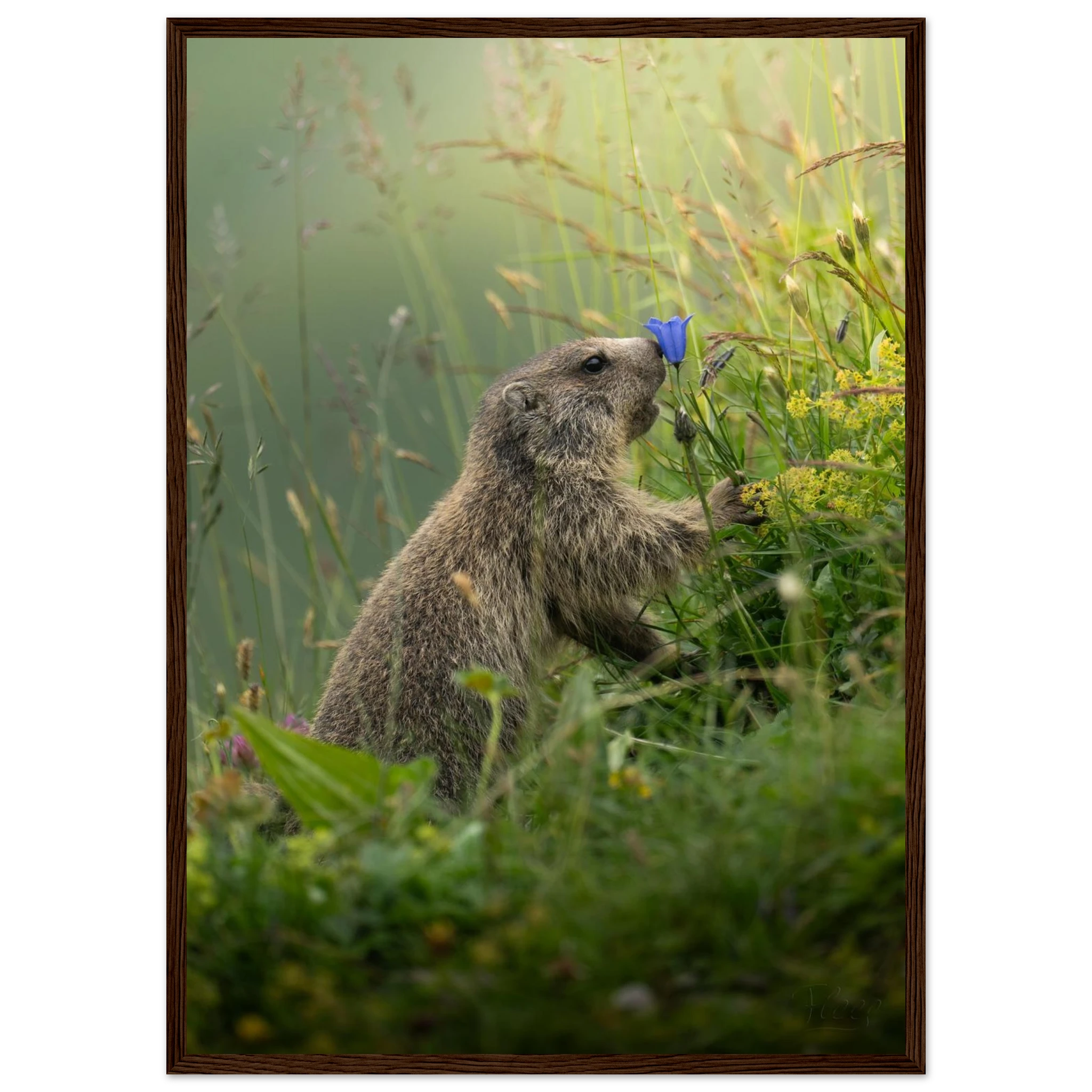 777234a4-d69c-4a51-8215-39dd93802145