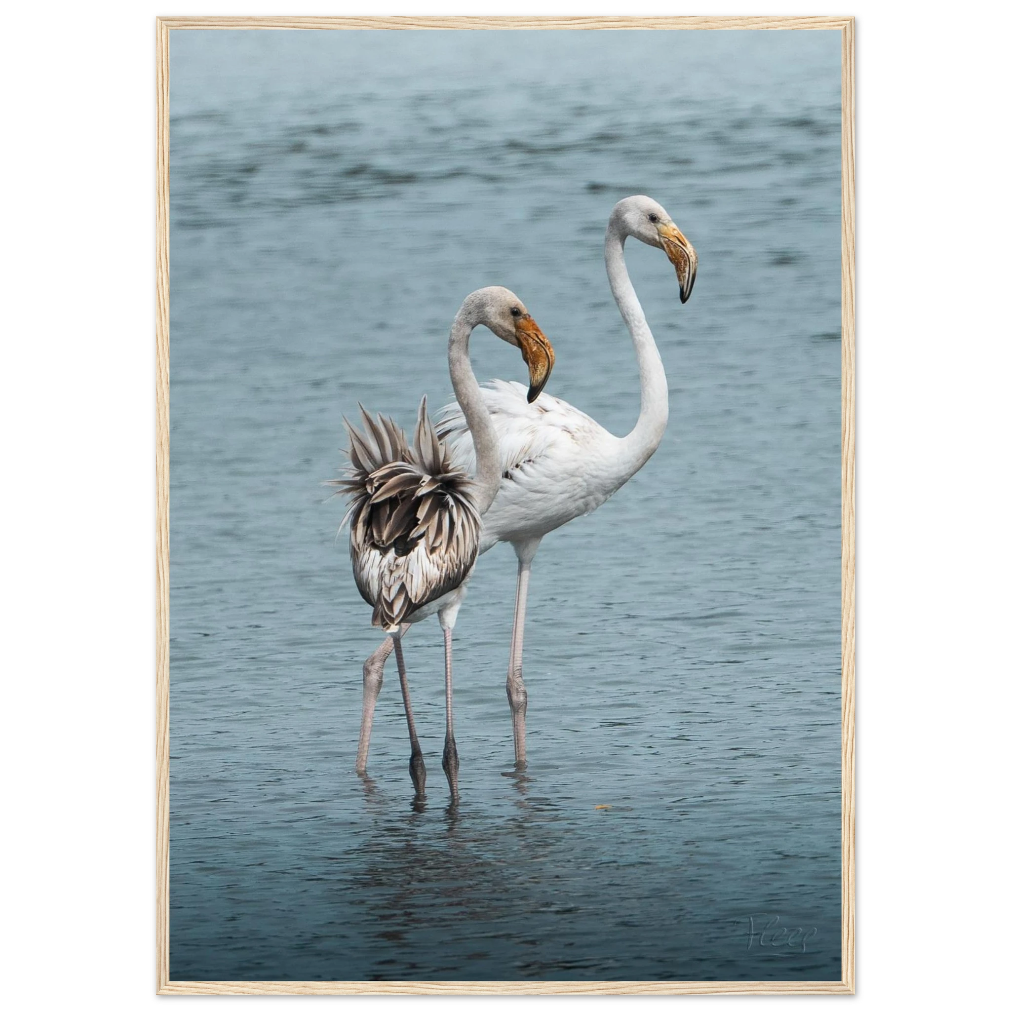 78b91067-a8f0-4edf-81dc-dbff198b9a96