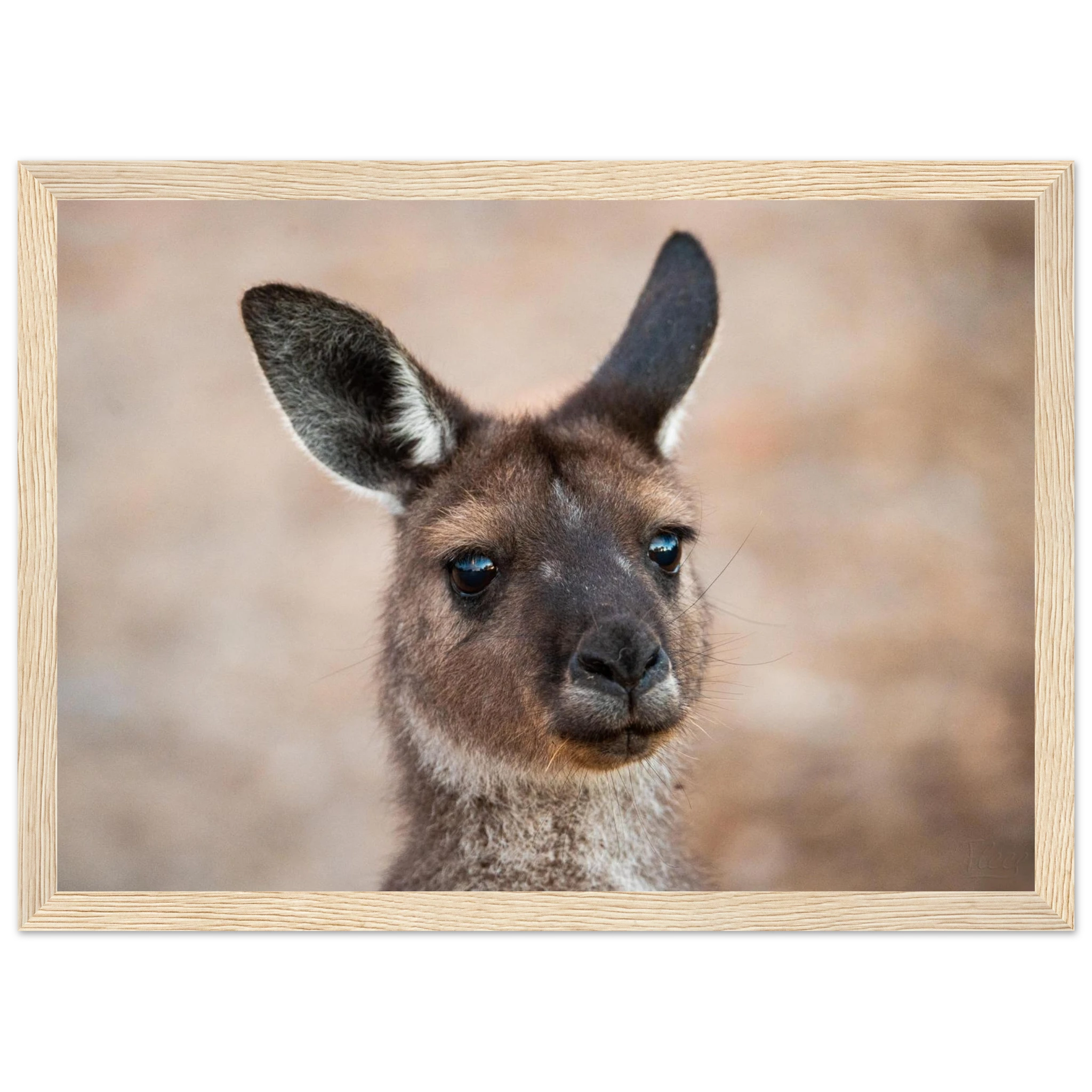 78c60b97-95b7-43b4-b0ab-819d91aeb7da