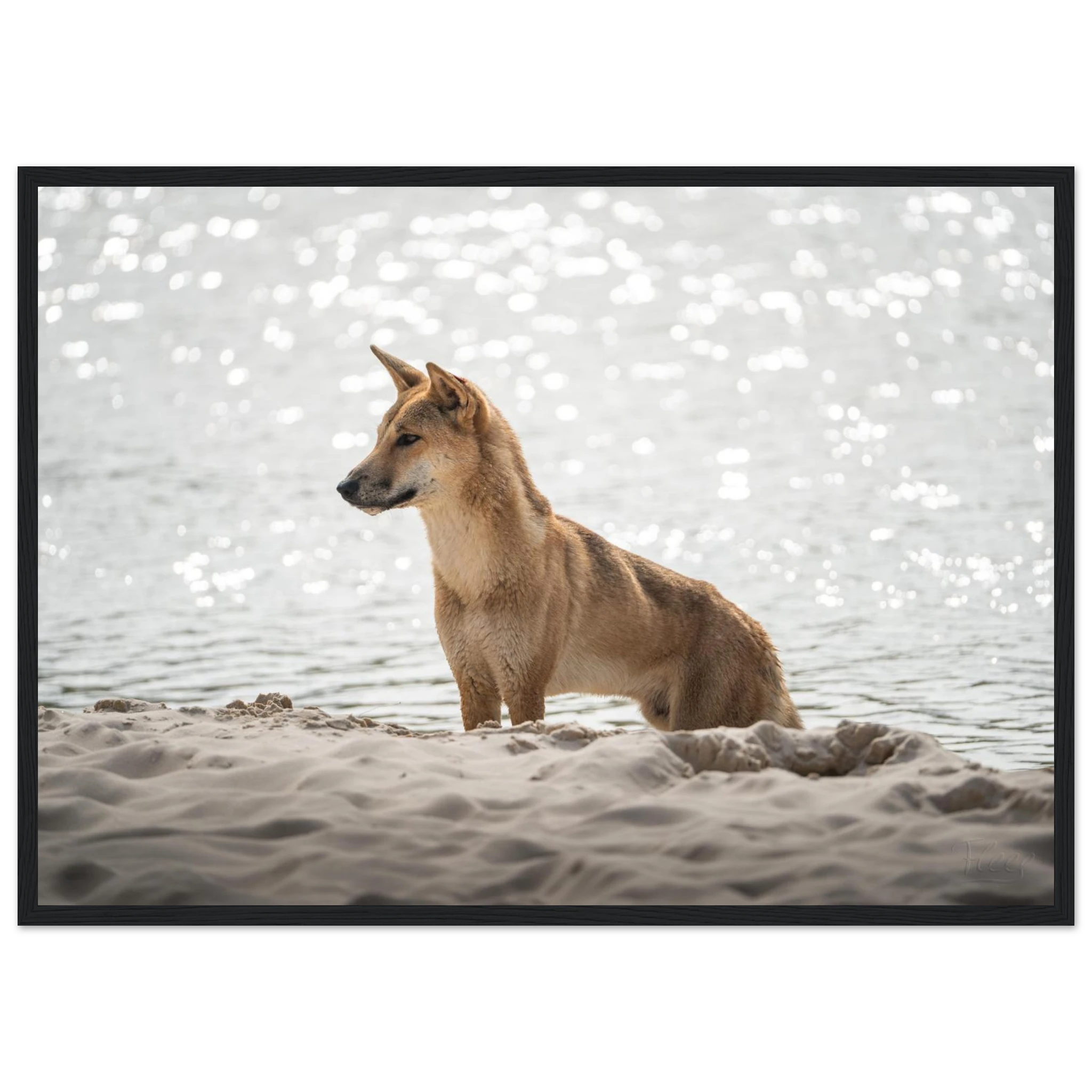 7965b8d1-e01c-4333-ace2-7fedb3141083