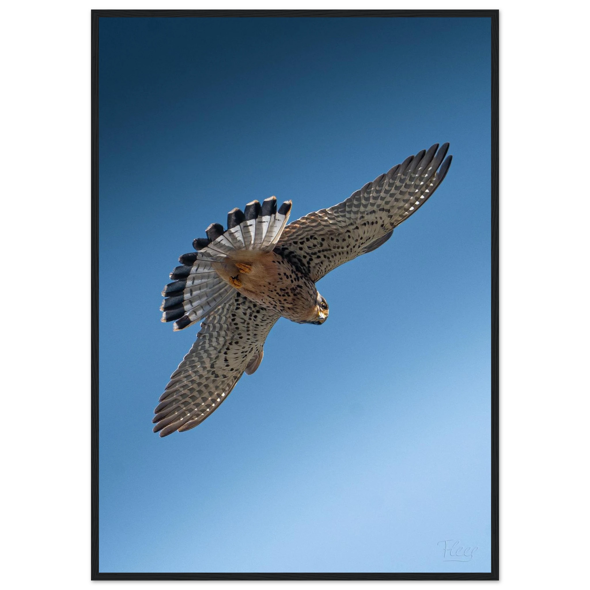 7983cee5-8a70-4ddc-b503-249442157c23