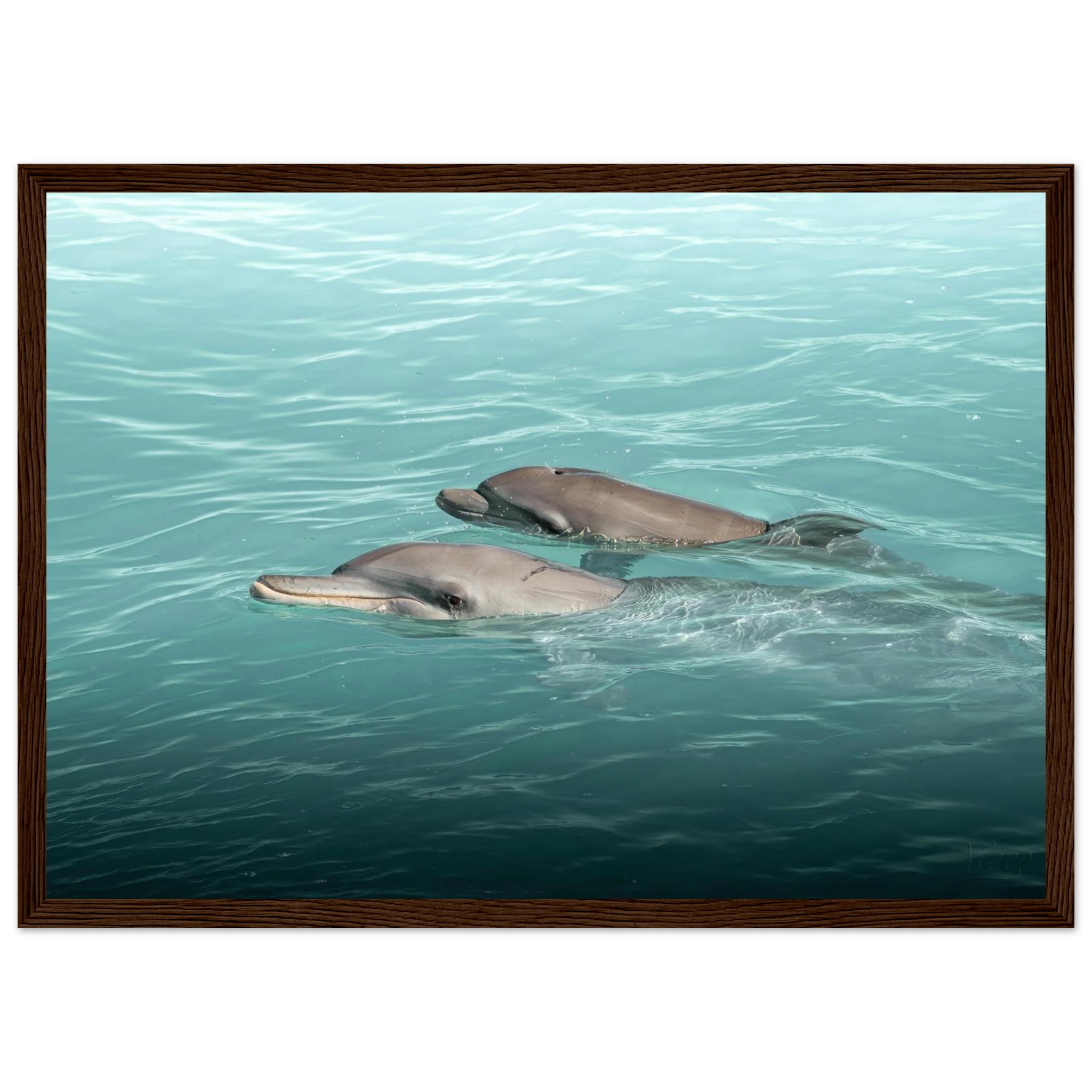 7a3f2de5-8a42-4002-842a-4f50d0fcb5b5