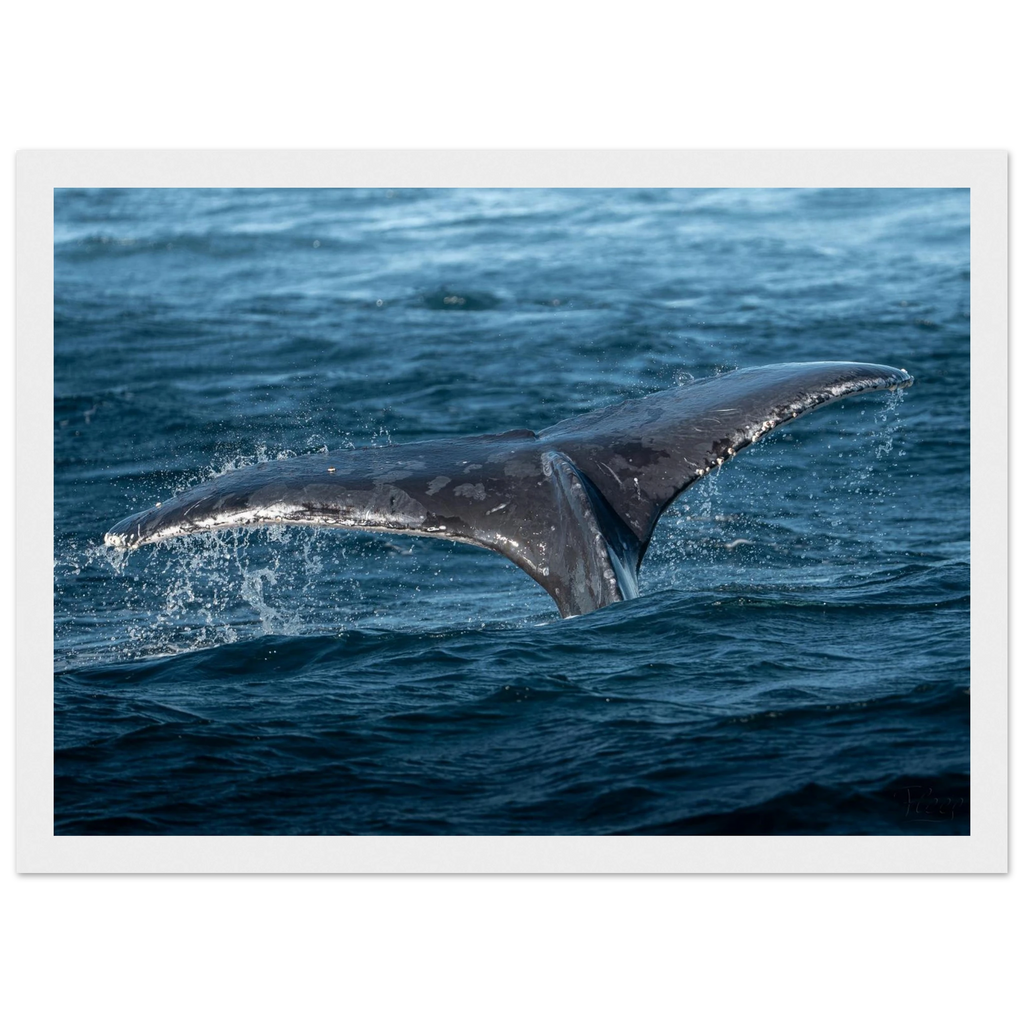 7a5c2aa7-8b6b-43a2-96e1-12867344307b