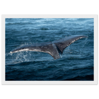 7a5c2aa7-8b6b-43a2-96e1-12867344307b