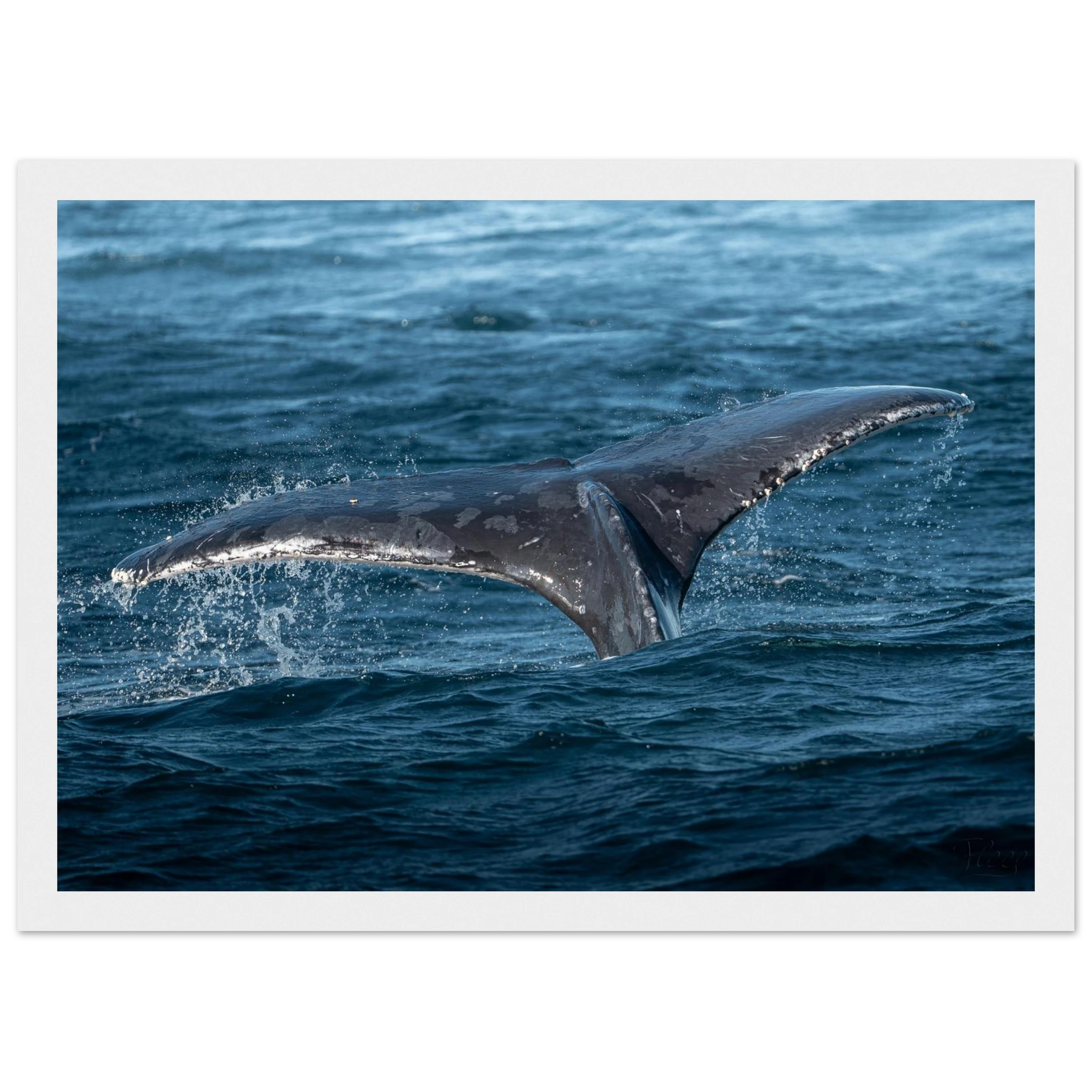 7a5c2aa7-8b6b-43a2-96e1-12867344307b